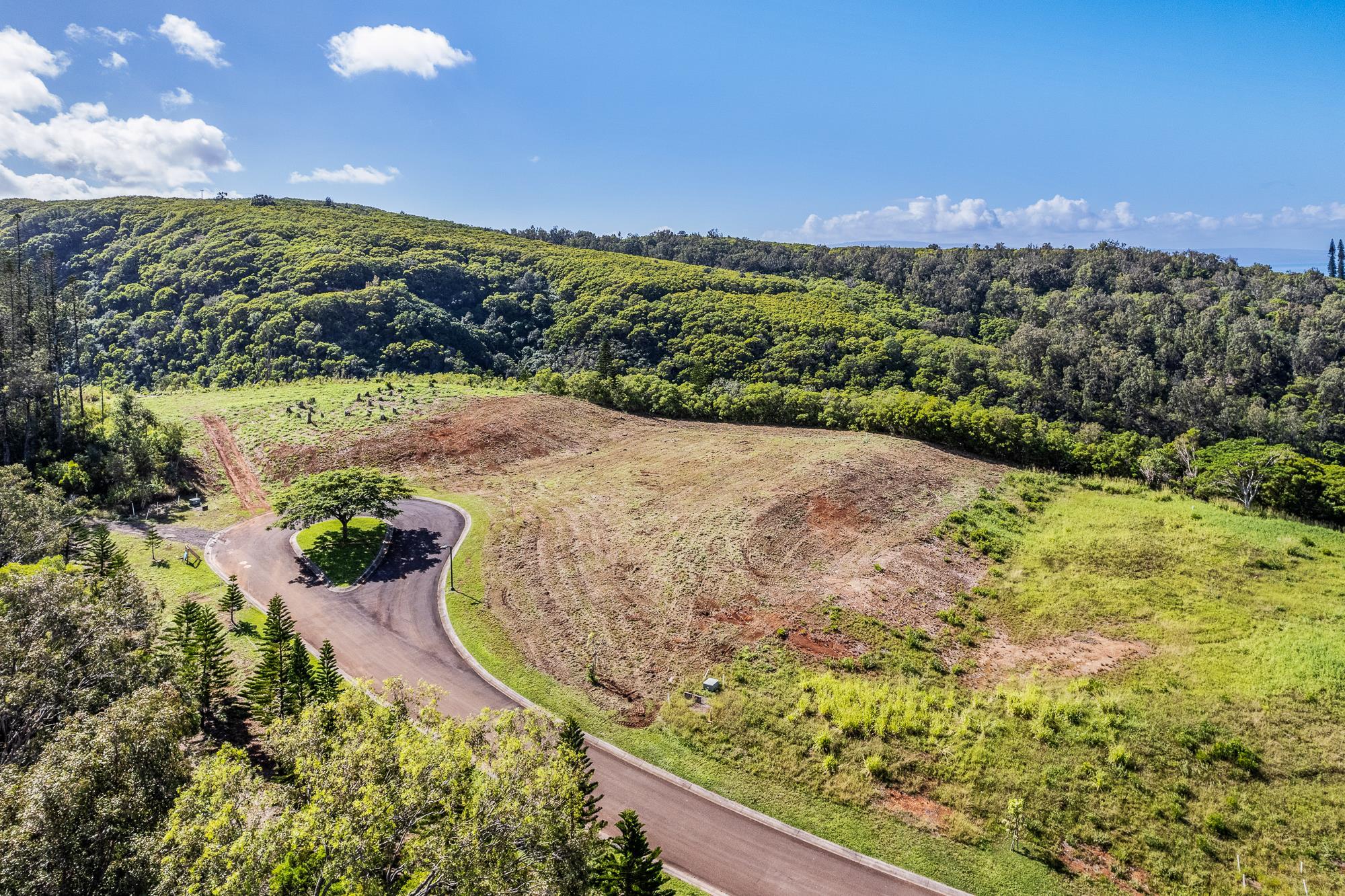 830 Mahana Ridge Pl 50 Lahaina, Hi vacant land for sale - photo 14 of 33