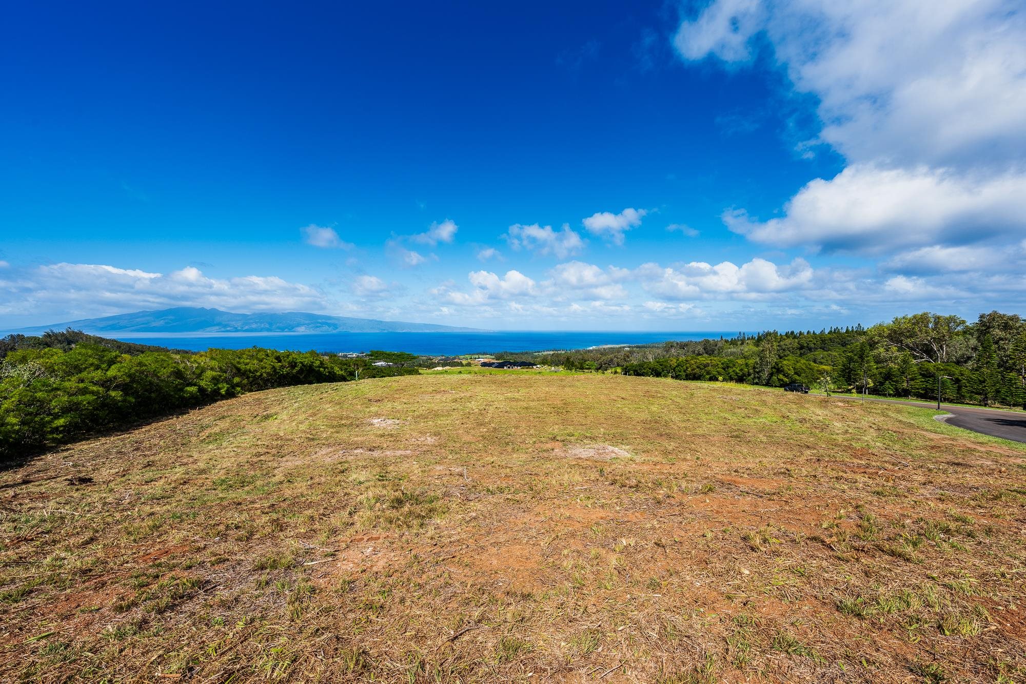 830 Mahana Ridge Pl 50 Lahaina, Hi vacant land for sale - photo 16 of 33