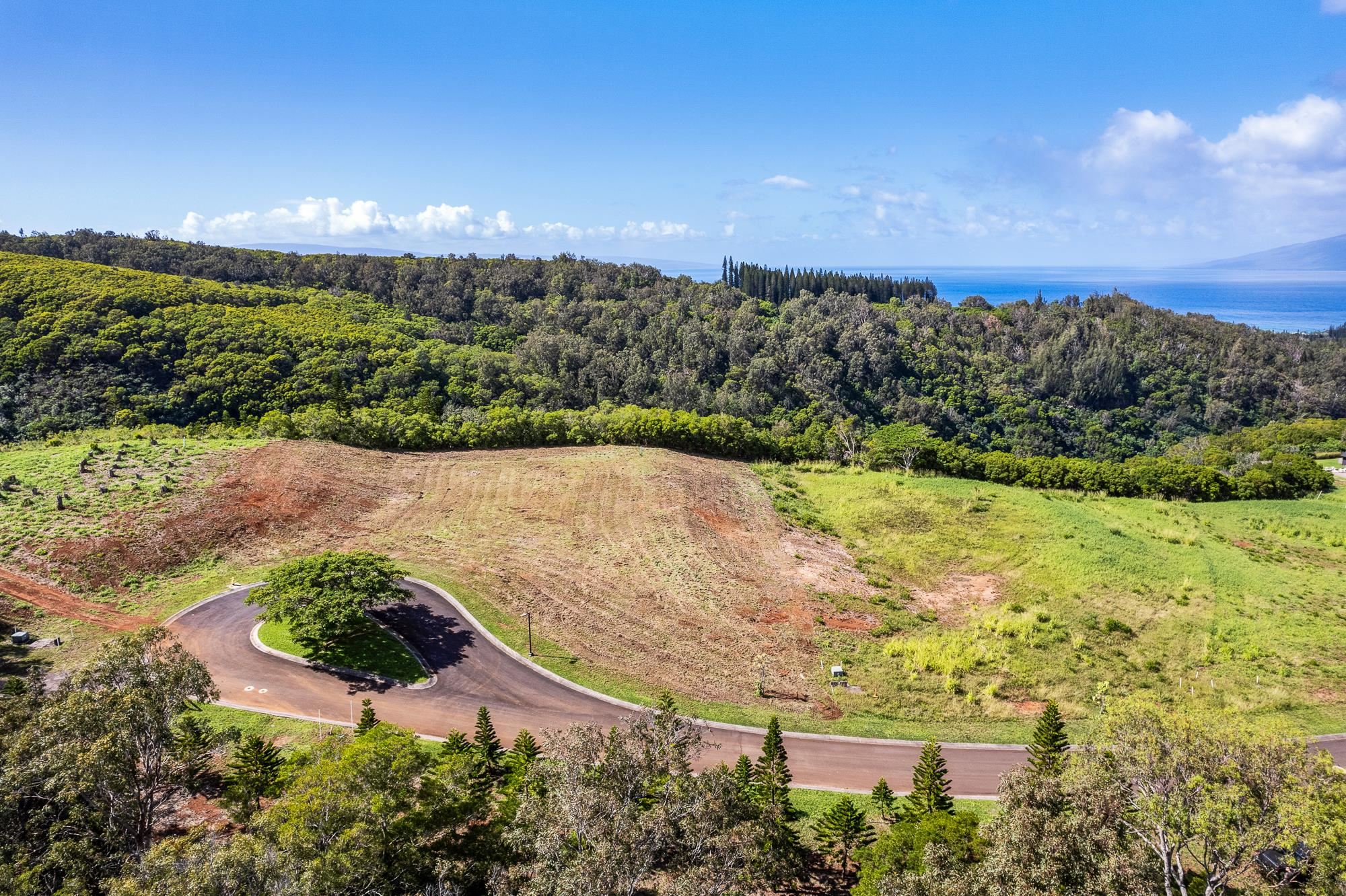 830 Mahana Ridge Pl 50 Lahaina, Hi vacant land for sale - photo 17 of 33