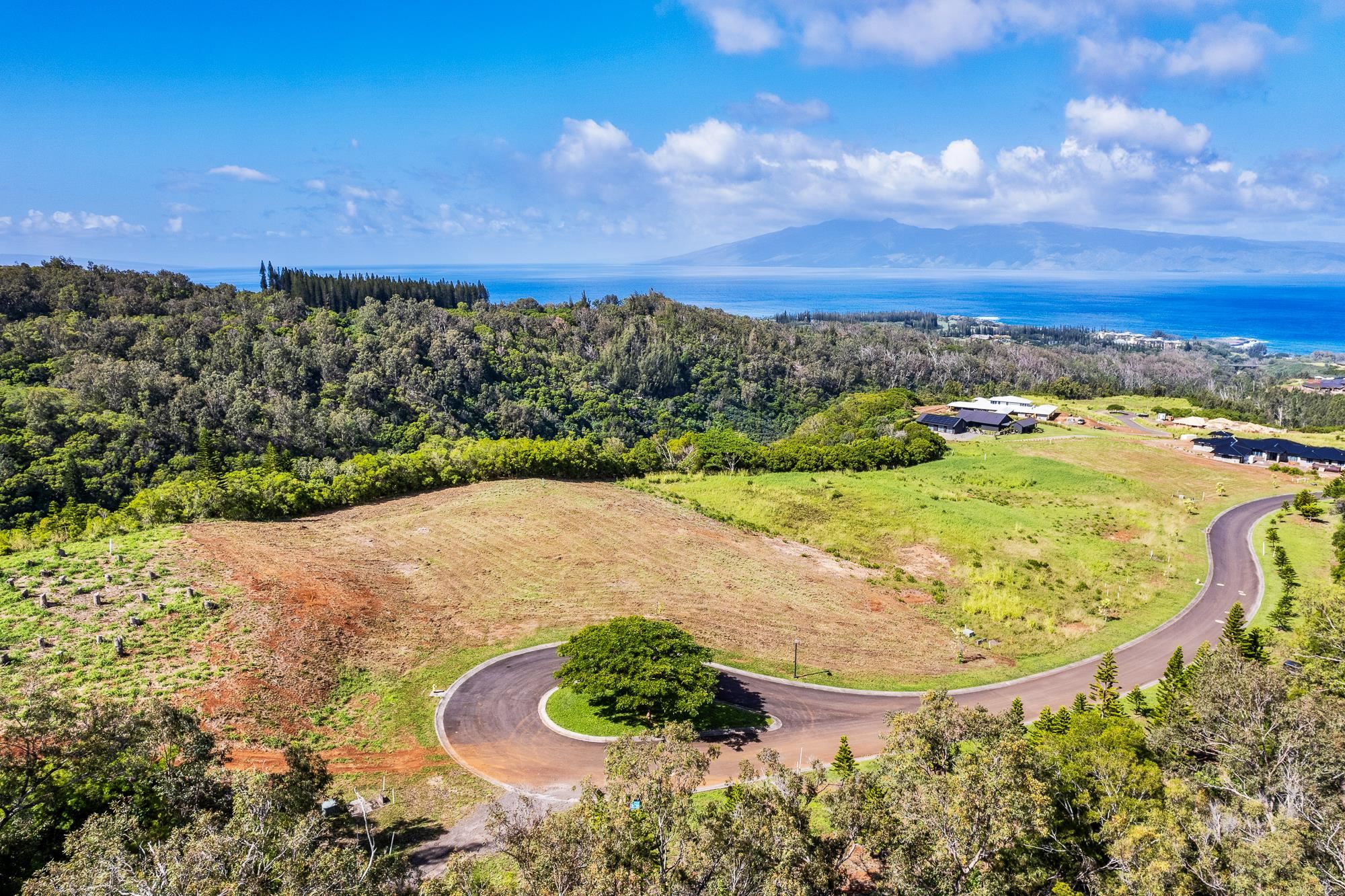 830 Mahana Ridge Pl 50 Lahaina, Hi vacant land for sale - photo 19 of 33