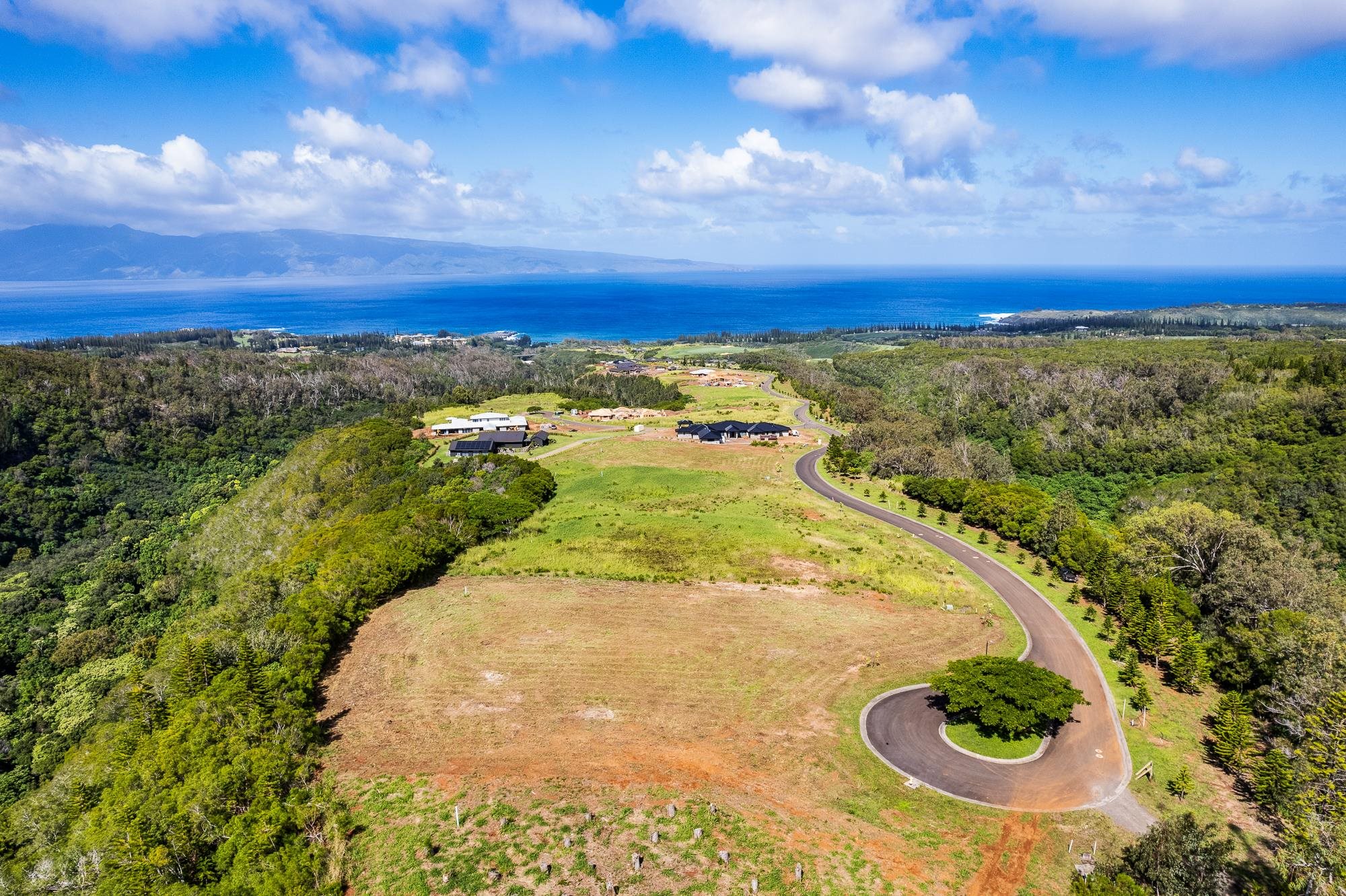 830 Mahana Ridge Pl 50 Lahaina, Hi vacant land for sale - photo 3 of 33