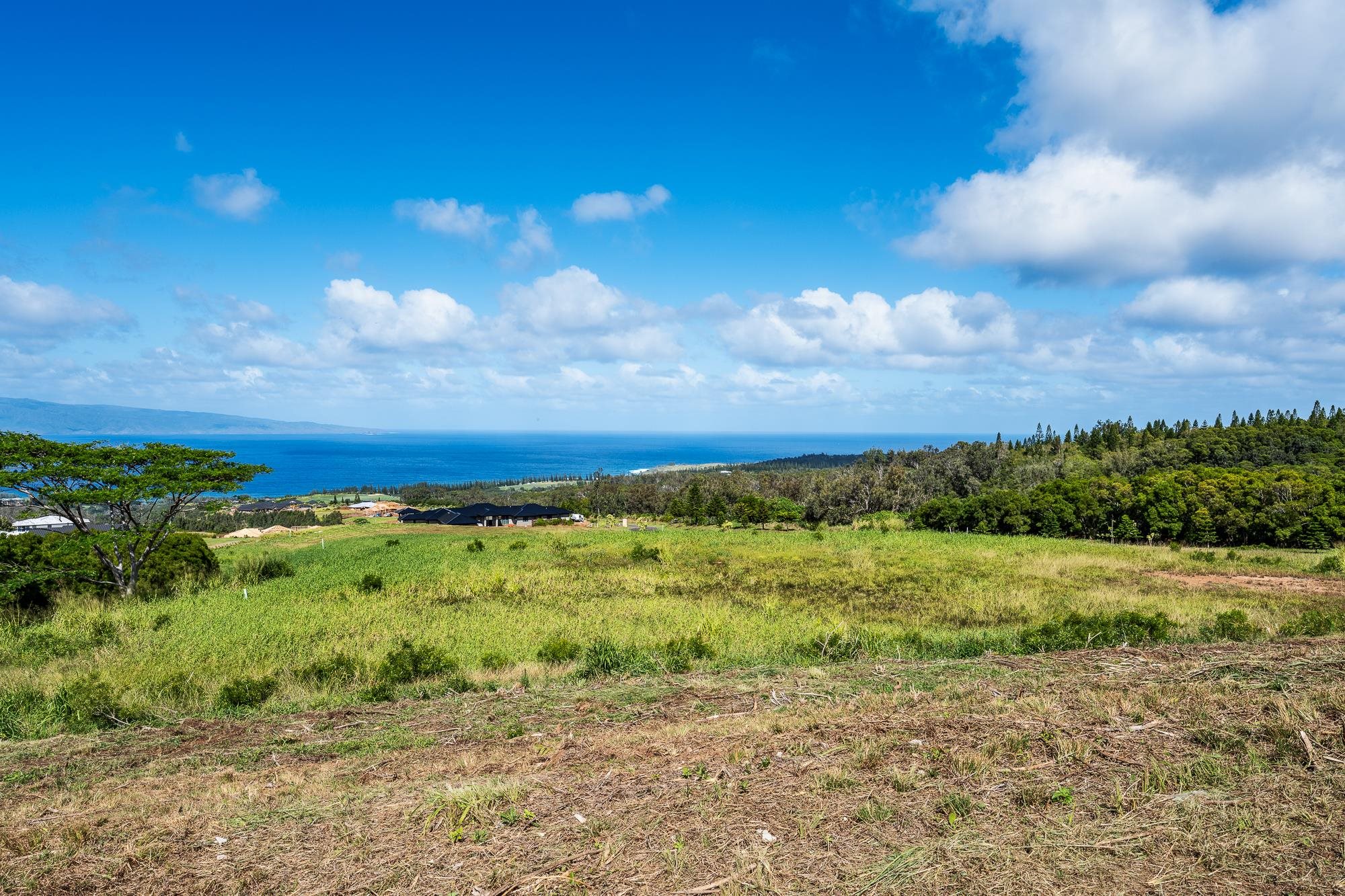 830 Mahana Ridge Pl 50 Lahaina, Hi vacant land for sale - photo 21 of 33