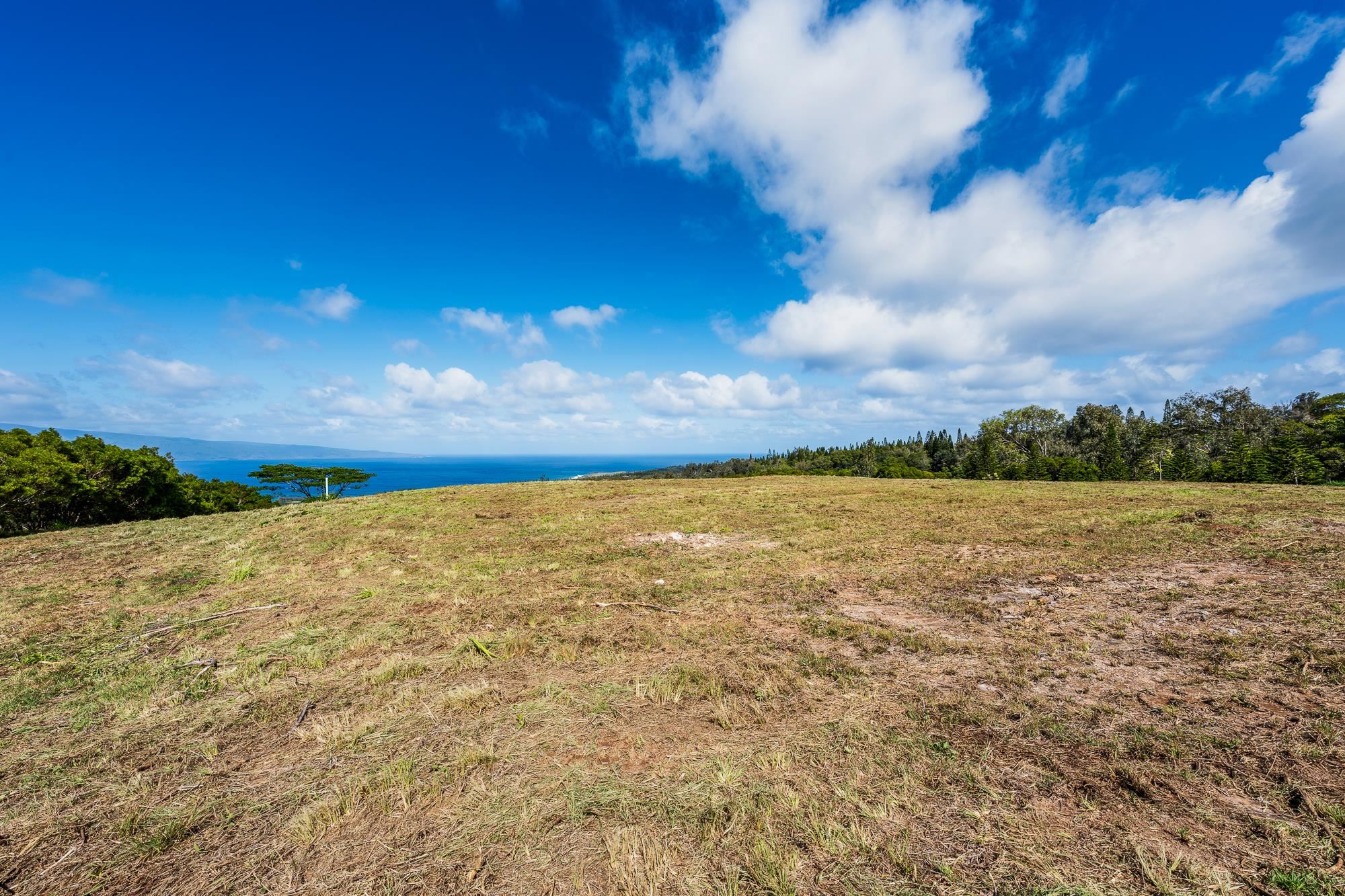 830 Mahana Ridge Pl 50 Lahaina, Hi vacant land for sale - photo 22 of 33