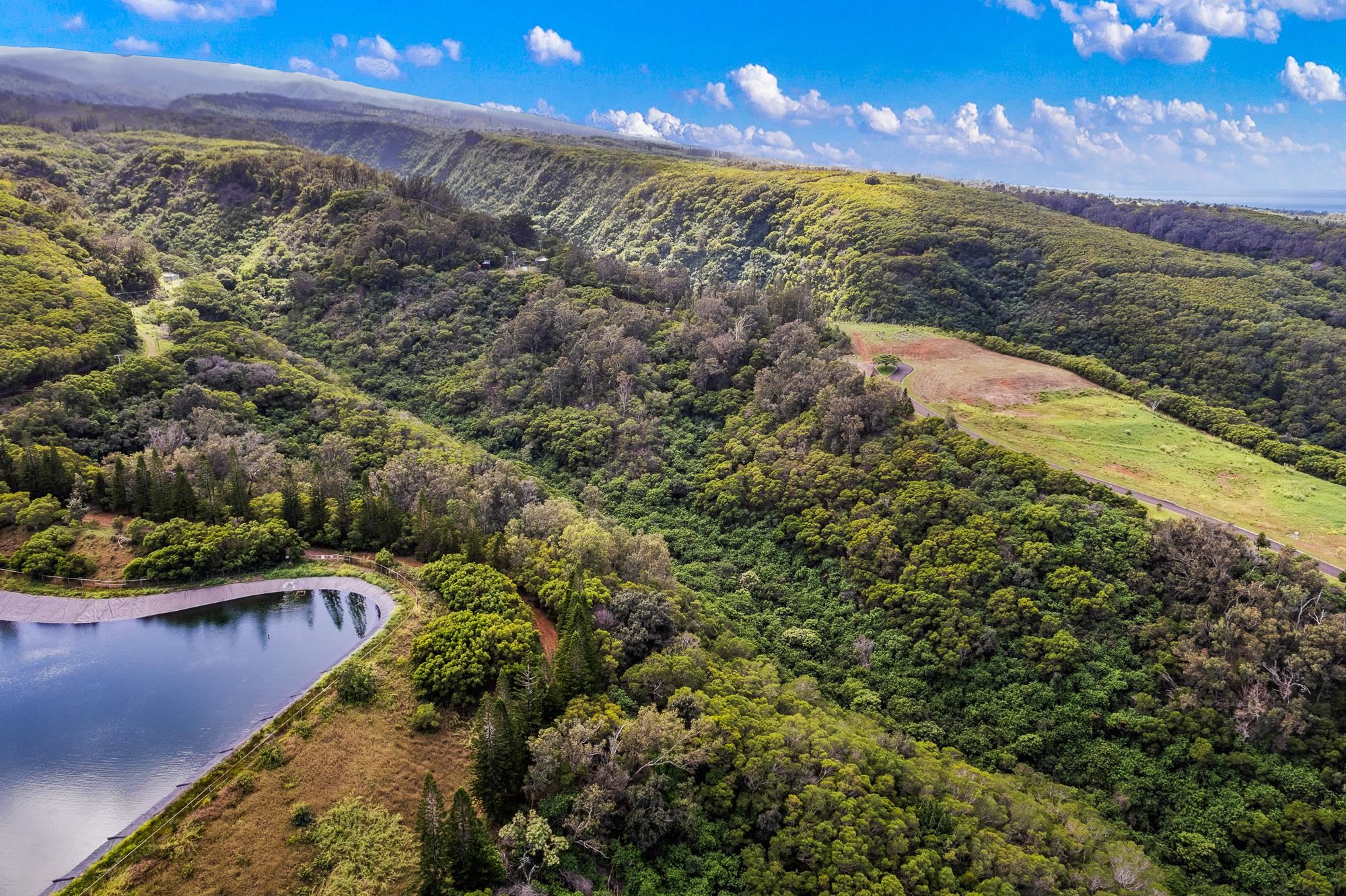 830 Mahana Ridge Pl 50 Lahaina, Hi vacant land for sale - photo 24 of 33