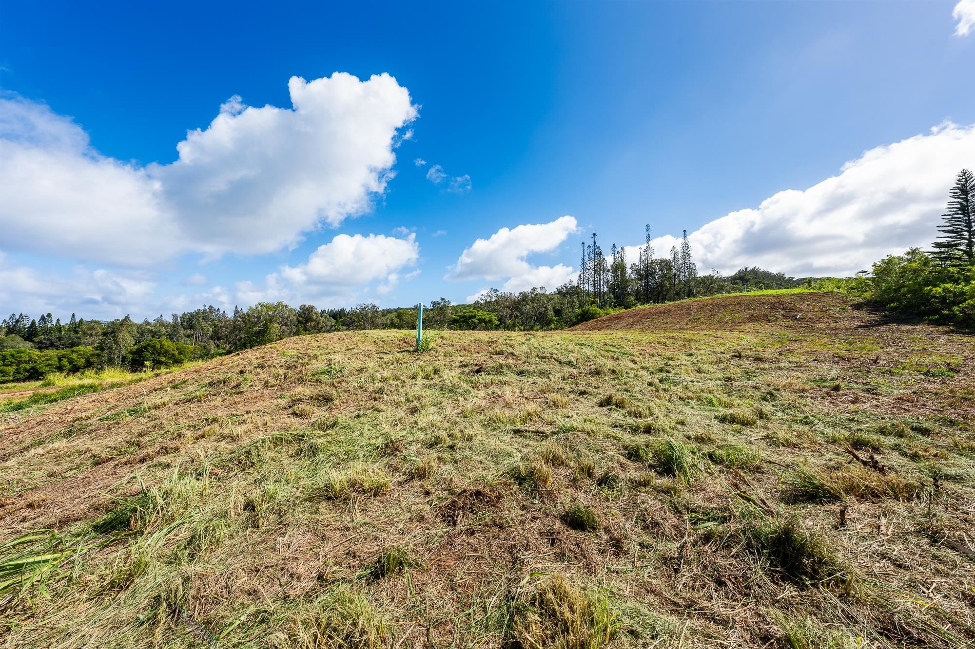 830 Mahana Ridge Pl 50 Lahaina, Hi vacant land for sale - photo 25 of 33