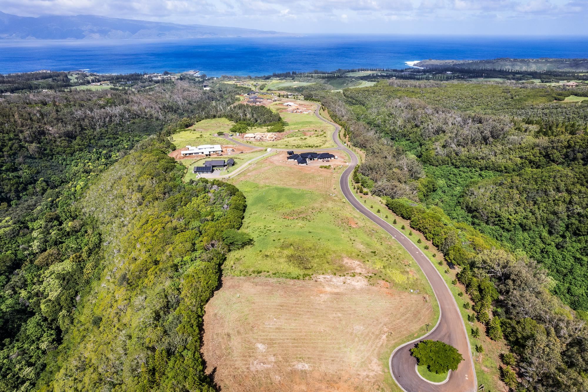 830 Mahana Ridge Pl 50 Lahaina, Hi vacant land for sale - photo 26 of 33