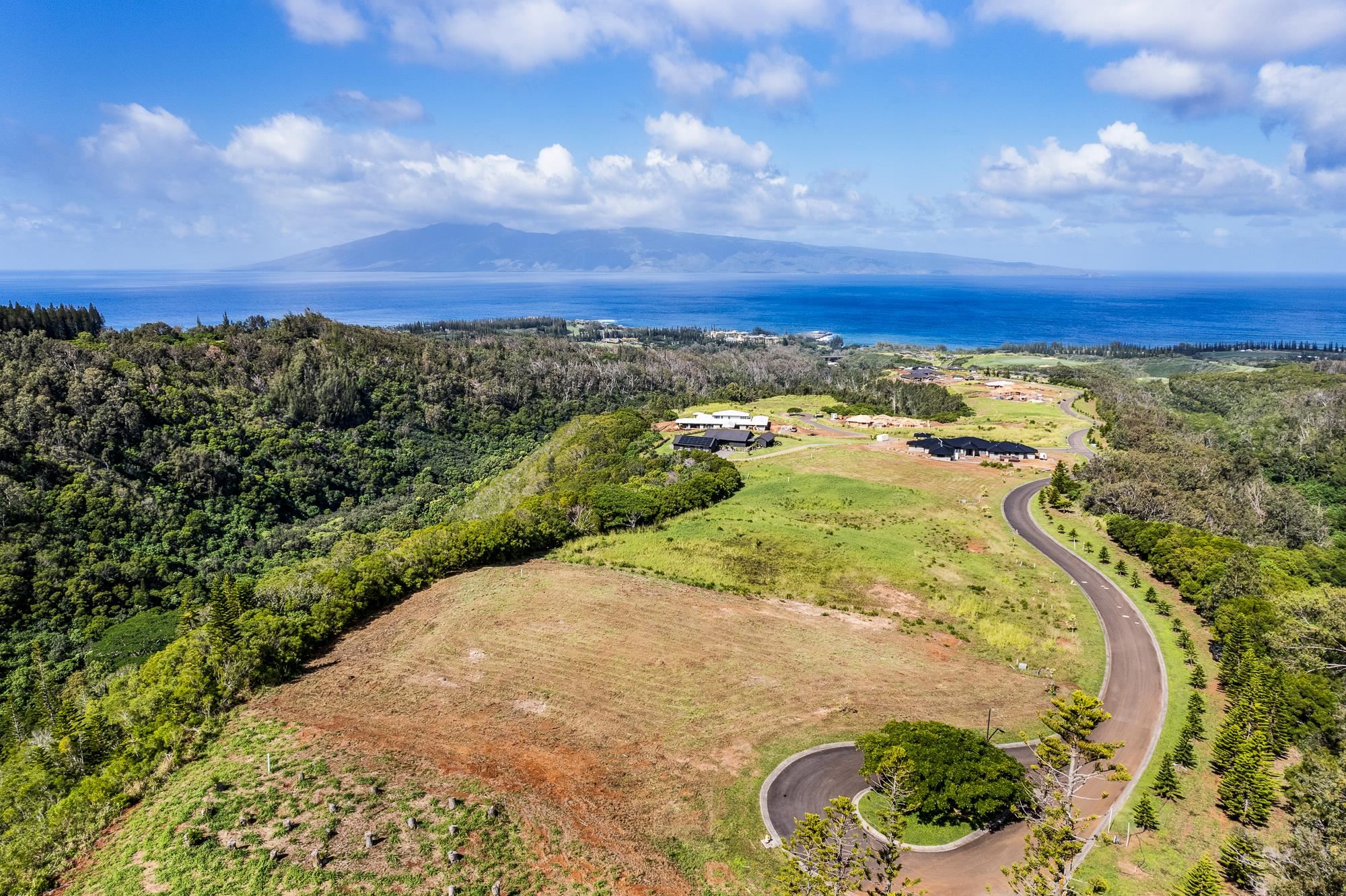 830 Mahana Ridge Pl 50 Lahaina, Hi vacant land for sale - photo 29 of 33