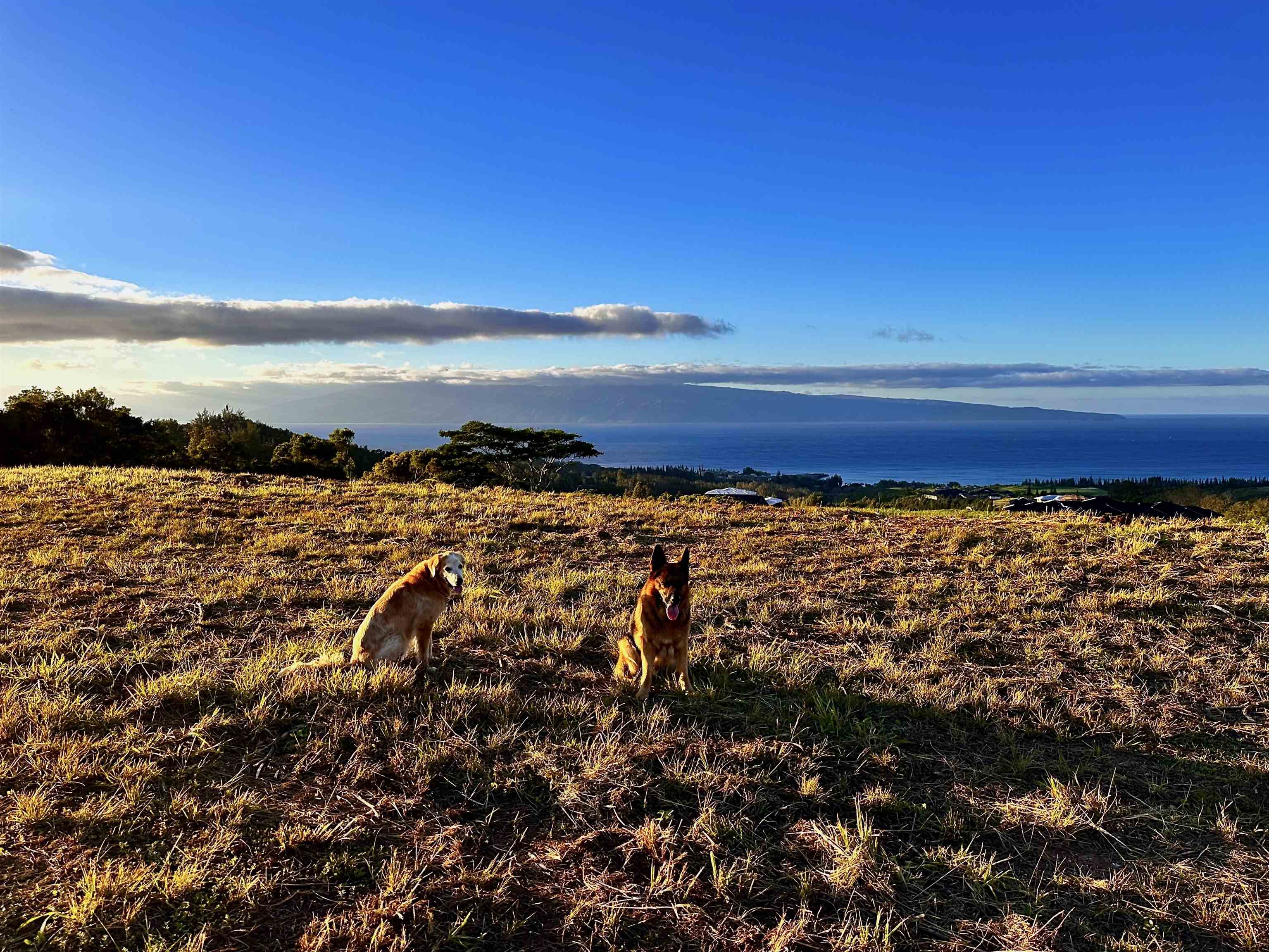 830 Mahana Ridge Pl 50 Lahaina, Hi vacant land for sale - photo 7 of 33