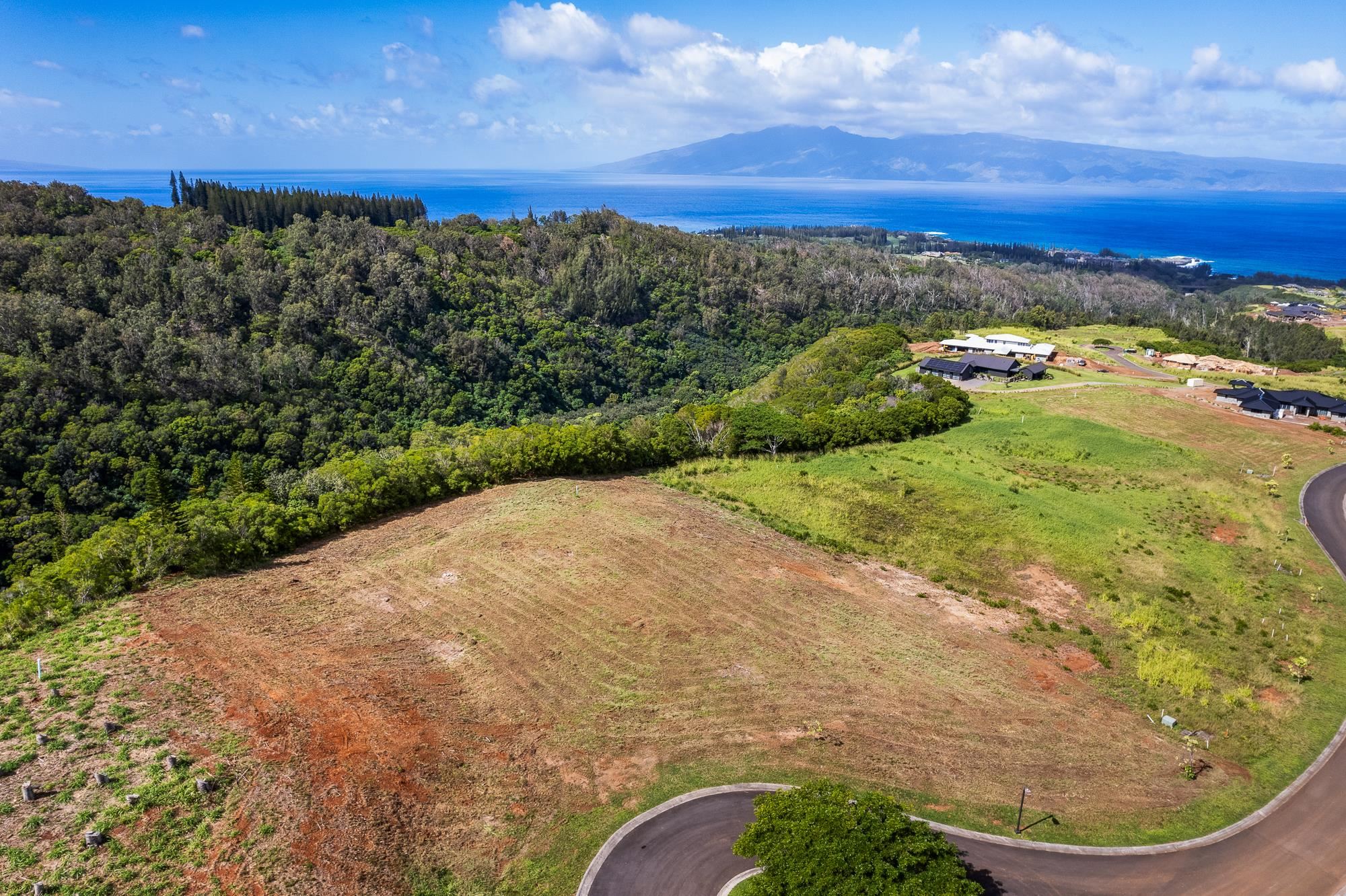 830 Mahana Ridge Pl 50 Lahaina, Hi vacant land for sale - photo 9 of 33