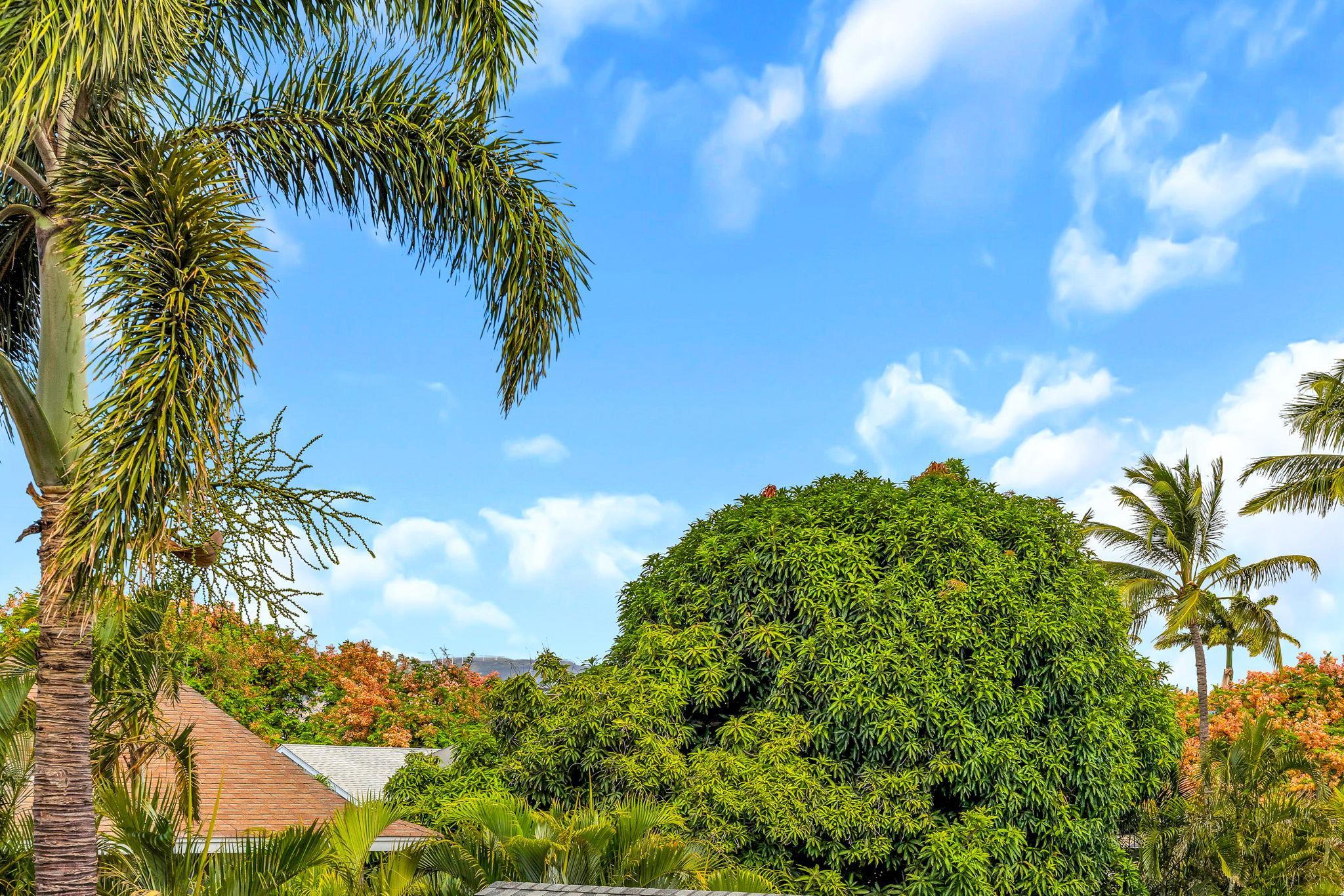 832  Mahealani St , Kihei home - photo 25 of 50