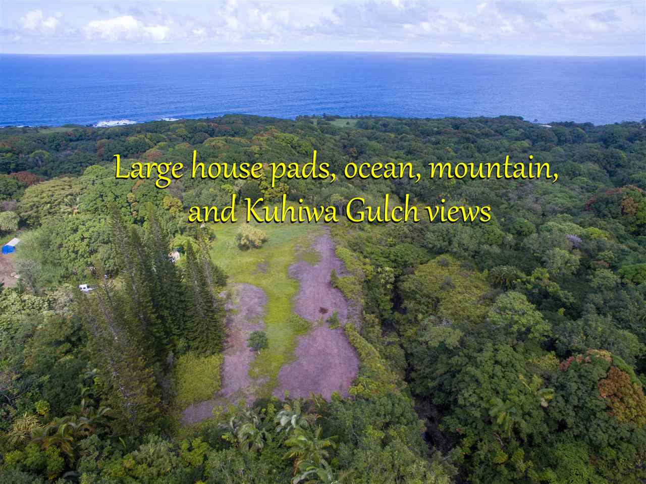 836 Nahiku Rd  Hana, Hi vacant land for sale - photo 2 of 30