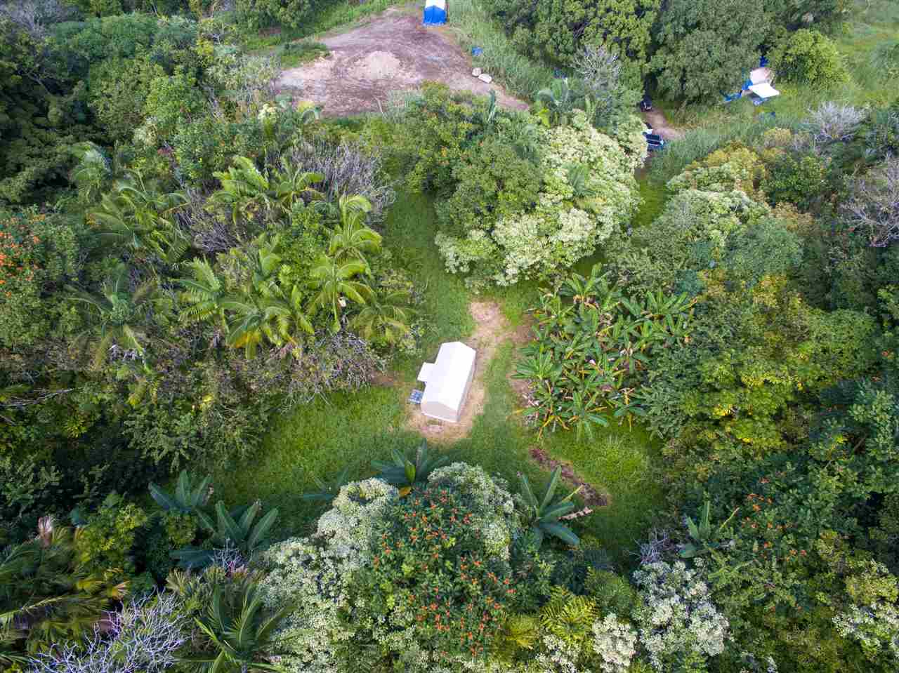 836 Nahiku Rd  Hana, Hi vacant land for sale - photo 12 of 30
