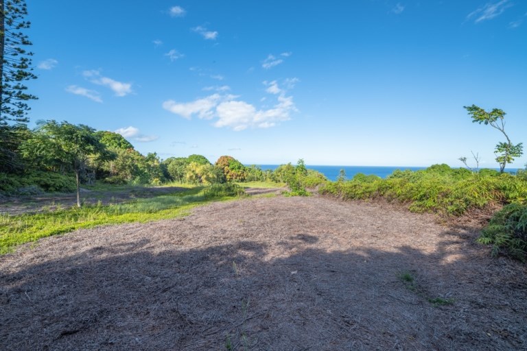 836 Nahiku Rd  Hana, Hi vacant land for sale - photo 14 of 30