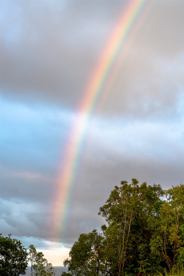 836 Nahiku Rd  Hana, Hi vacant land for sale - photo 19 of 30