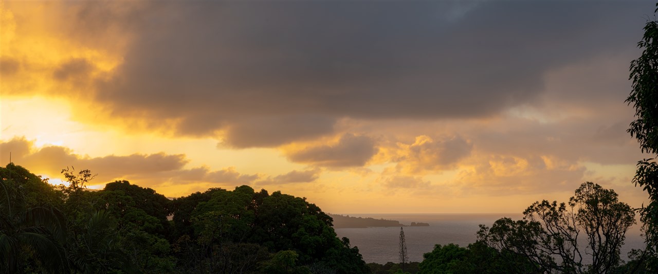 836 Nahiku Rd  Hana, Hi vacant land for sale - photo 20 of 30