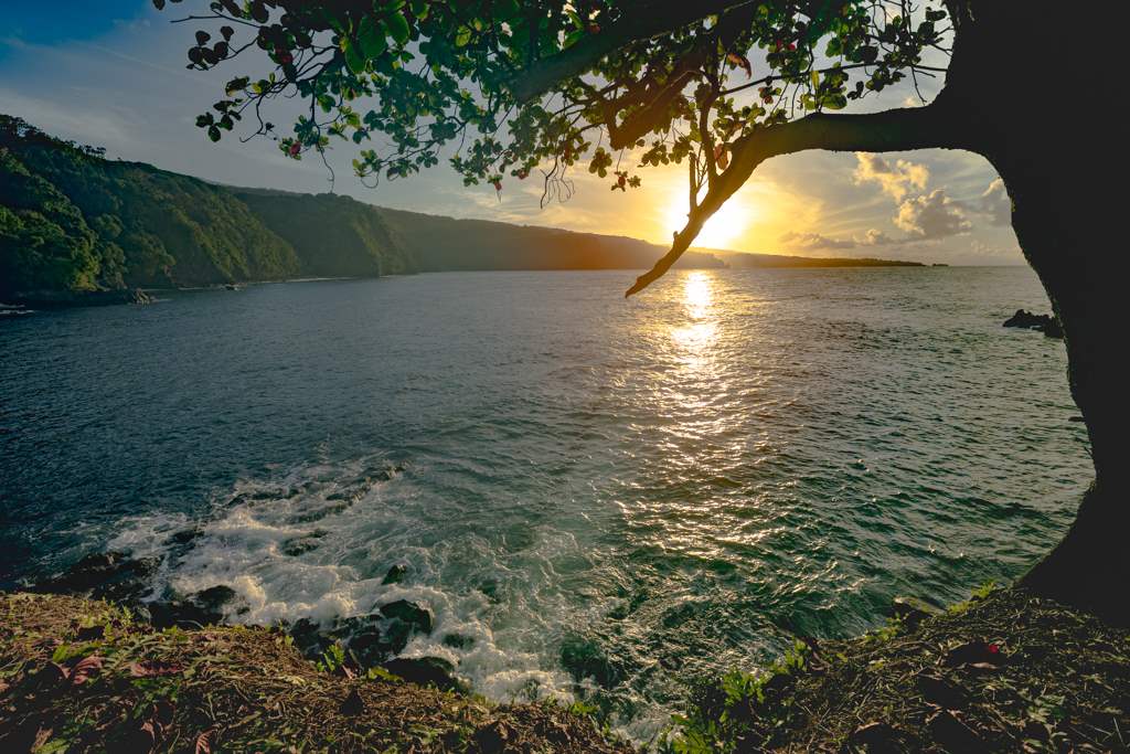 836 Nahiku Rd  Hana, Hi vacant land for sale - photo 30 of 30