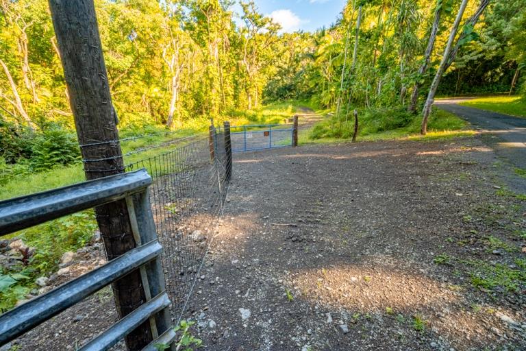 836 Nahiku Rd  Hana, Hi vacant land for sale - photo 4 of 30