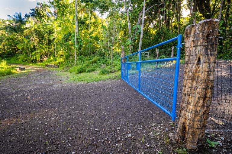 836 Nahiku Rd  Hana, Hi vacant land for sale - photo 5 of 30