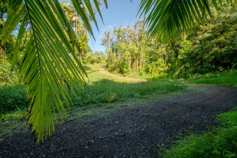 836 Nahiku Rd  Hana, Hi vacant land for sale - photo 8 of 30