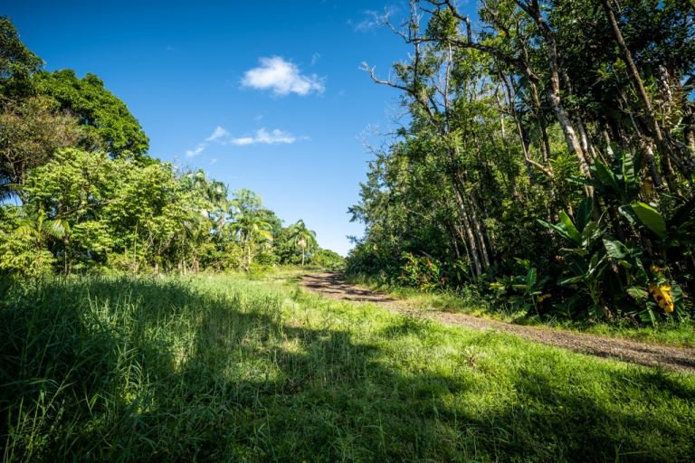 836 Nahiku Rd  Hana, Hi vacant land for sale - photo 9 of 30