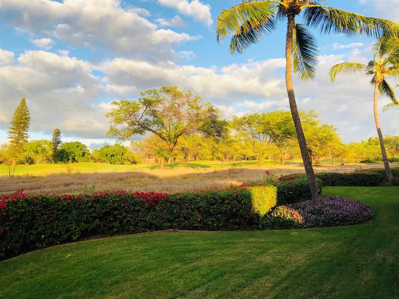 Hokulani Golf Villas condo # 53, Kihei, Hawaii - photo 7 of 30