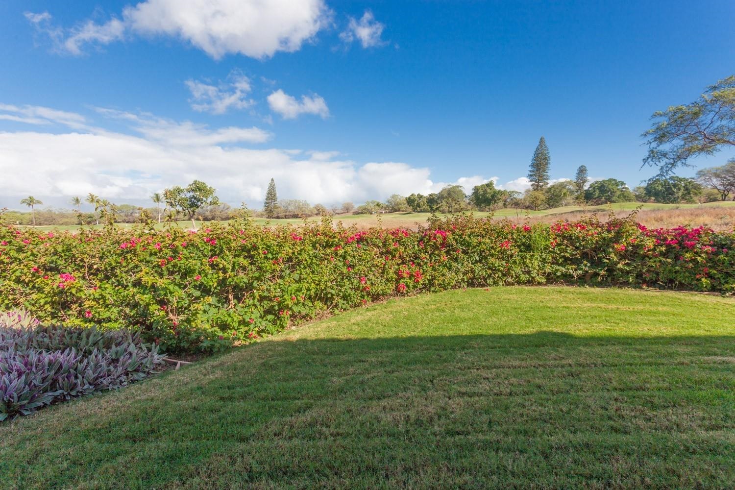 Hokulani Golf Villas condo # 53, Kihei, Hawaii - photo 22 of 29