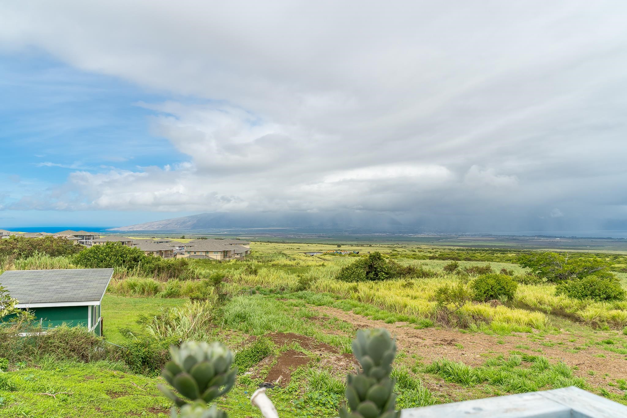 843  Maikai St Haliimaile, Makawao/Olinda/Haliimaile home - photo 40 of 50