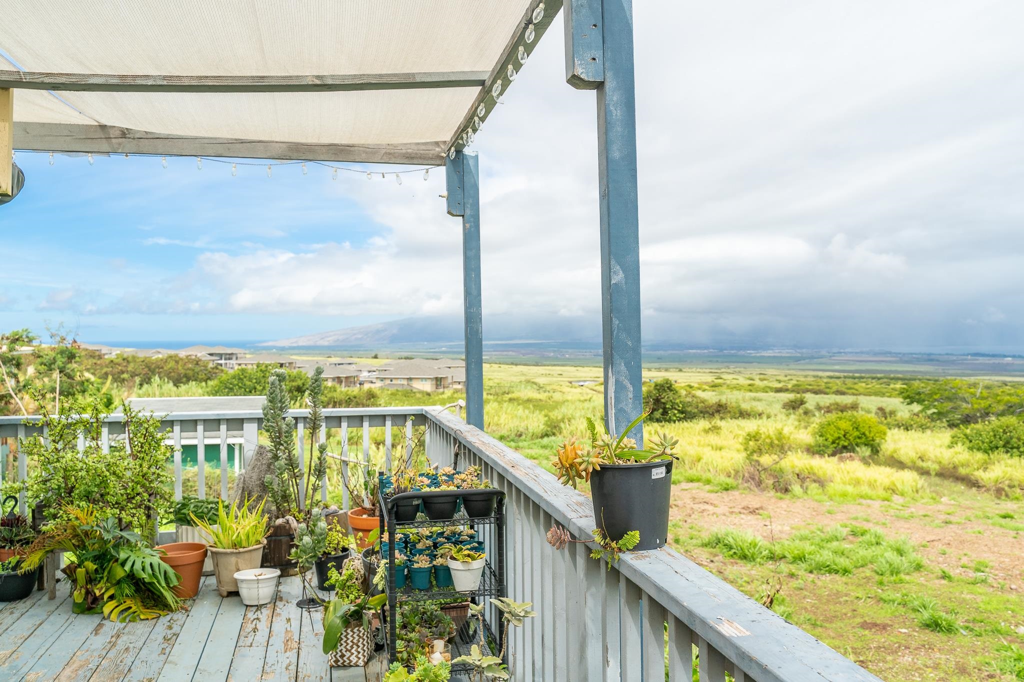 843  Maikai St Haliimaile, Makawao/Olinda/Haliimaile home - photo 41 of 50