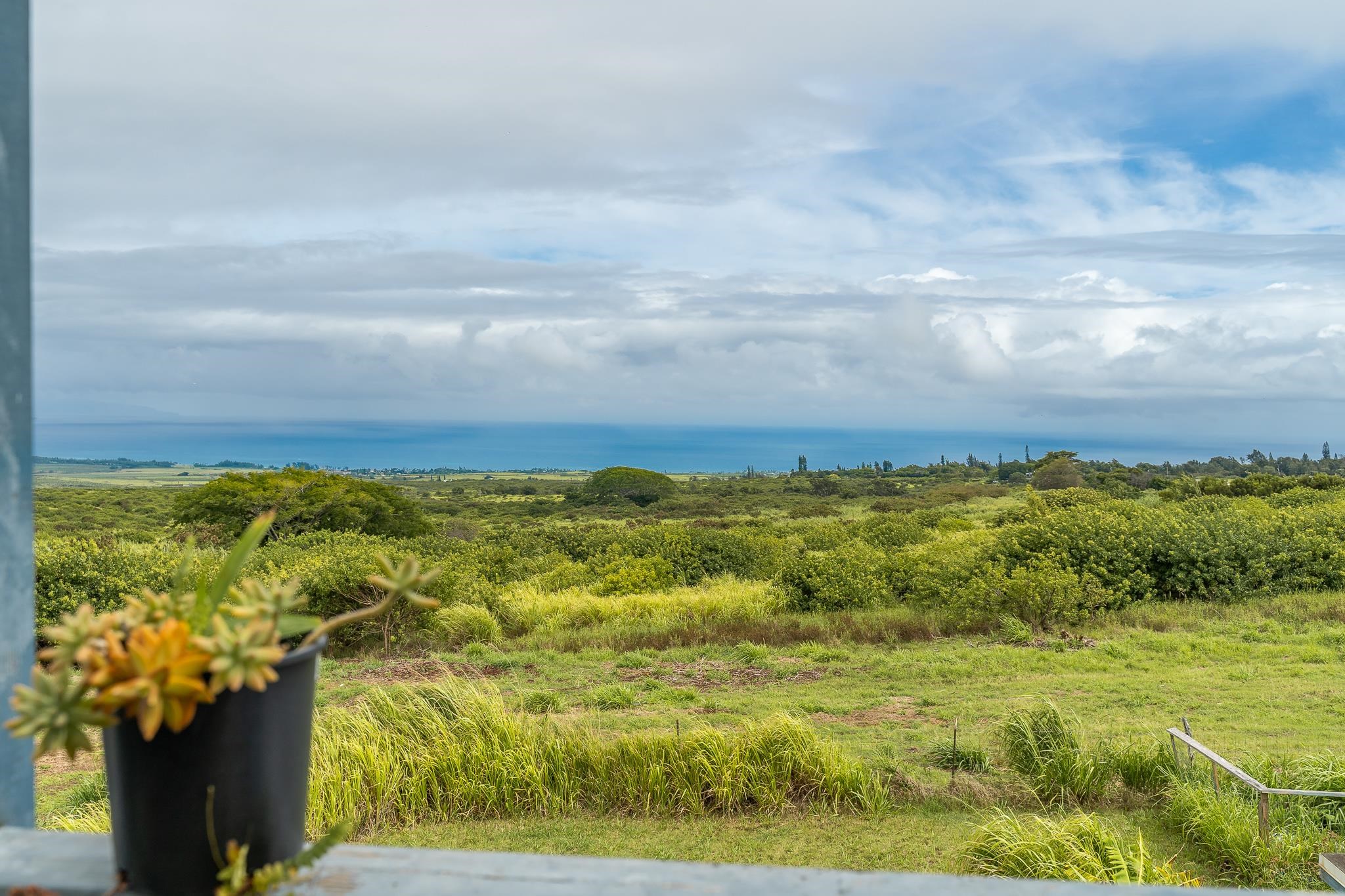 843  Maikai St Haliimaile, Makawao/Olinda/Haliimaile home - photo 43 of 50