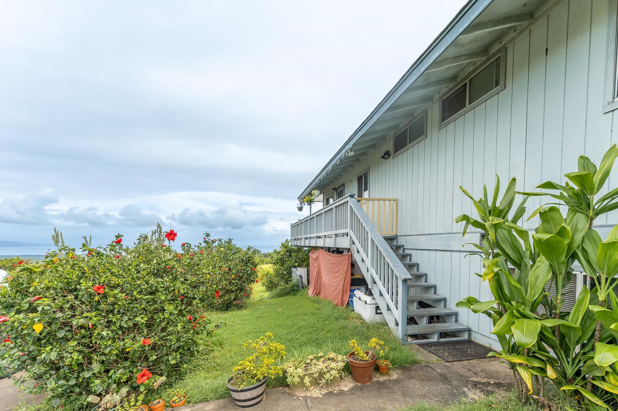843  Maikai St Haliimaile, Makawao/Olinda/Haliimaile home - photo 47 of 50