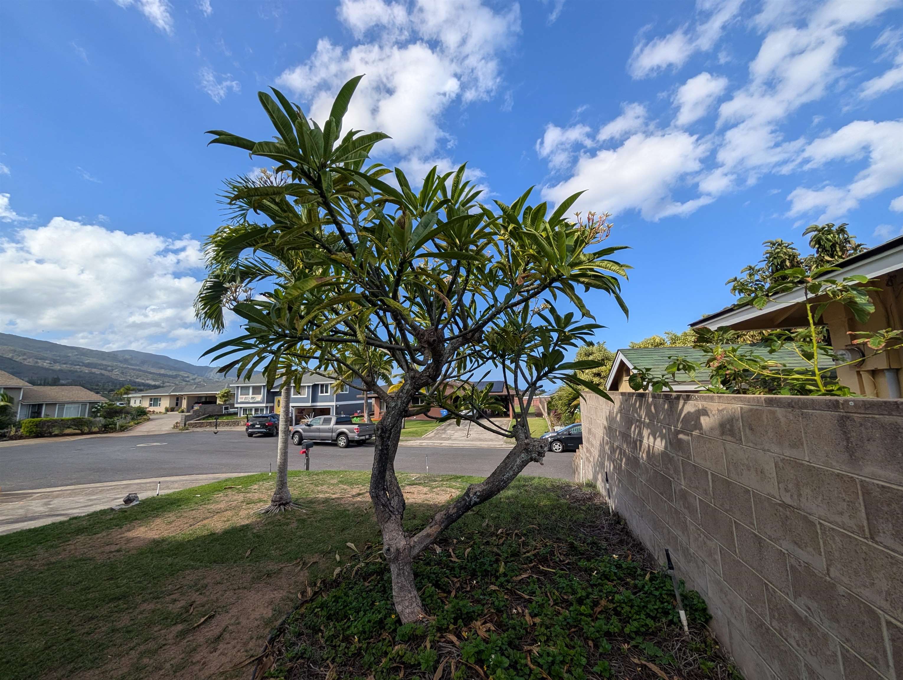 845  Kekoa Pl Waiehu Heights, Wailuku home - photo 49 of 49