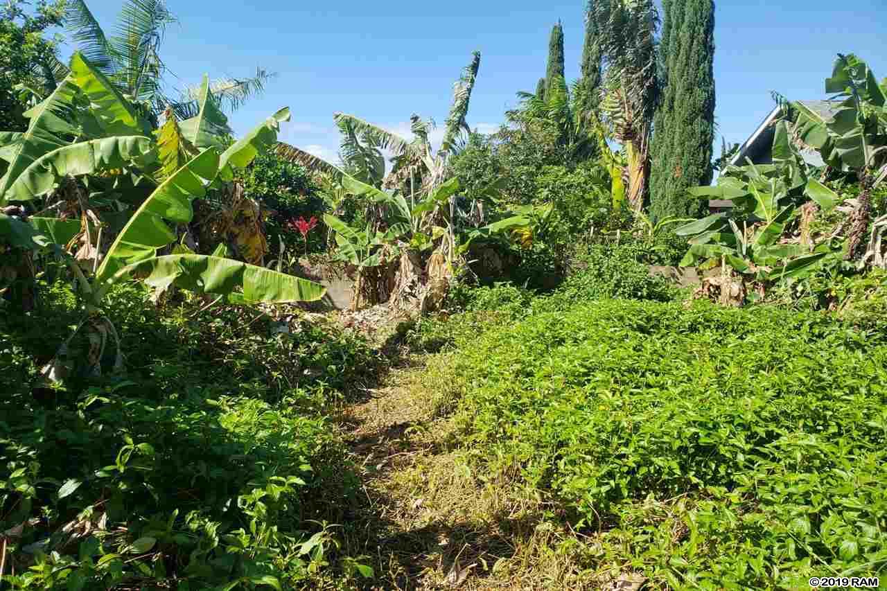 845 Puapana Pl  Makawao, Hi vacant land for sale - photo 4 of 6