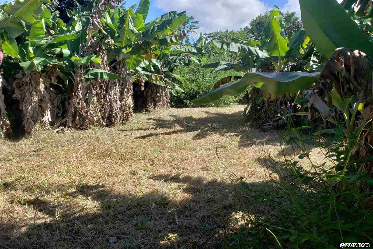 845 Puapana Pl  Makawao, Hi vacant land for sale - photo 5 of 6