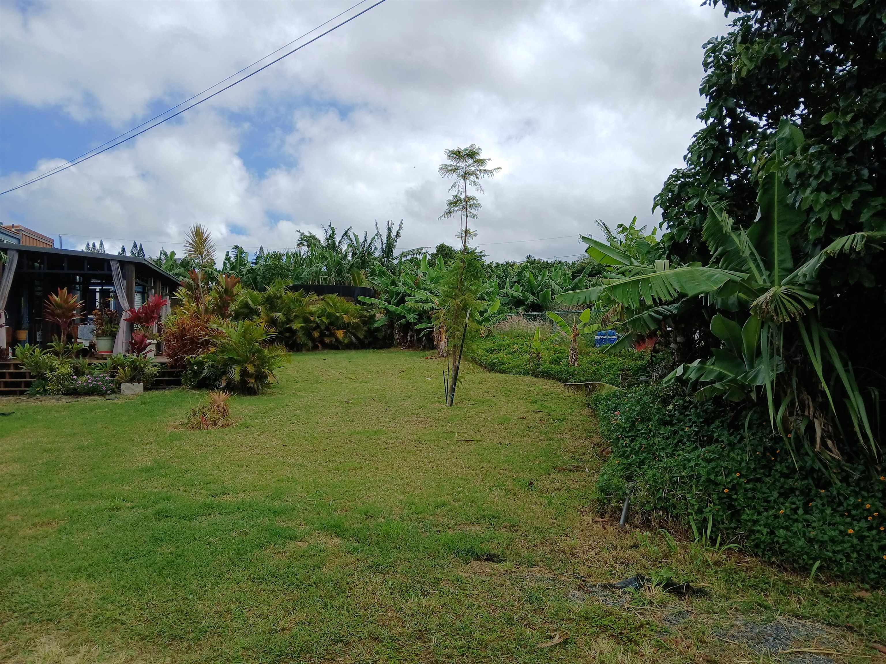 845  Puapana Pl , Makawao/Olinda/Haliimaile home - photo 6 of 6