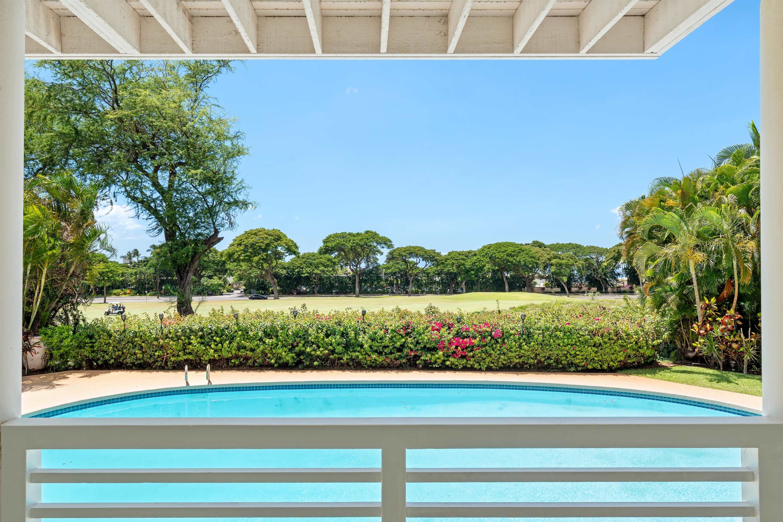 85  Hale Alii Pl Wailea, Wailea/Makena home - photo 2 of 43