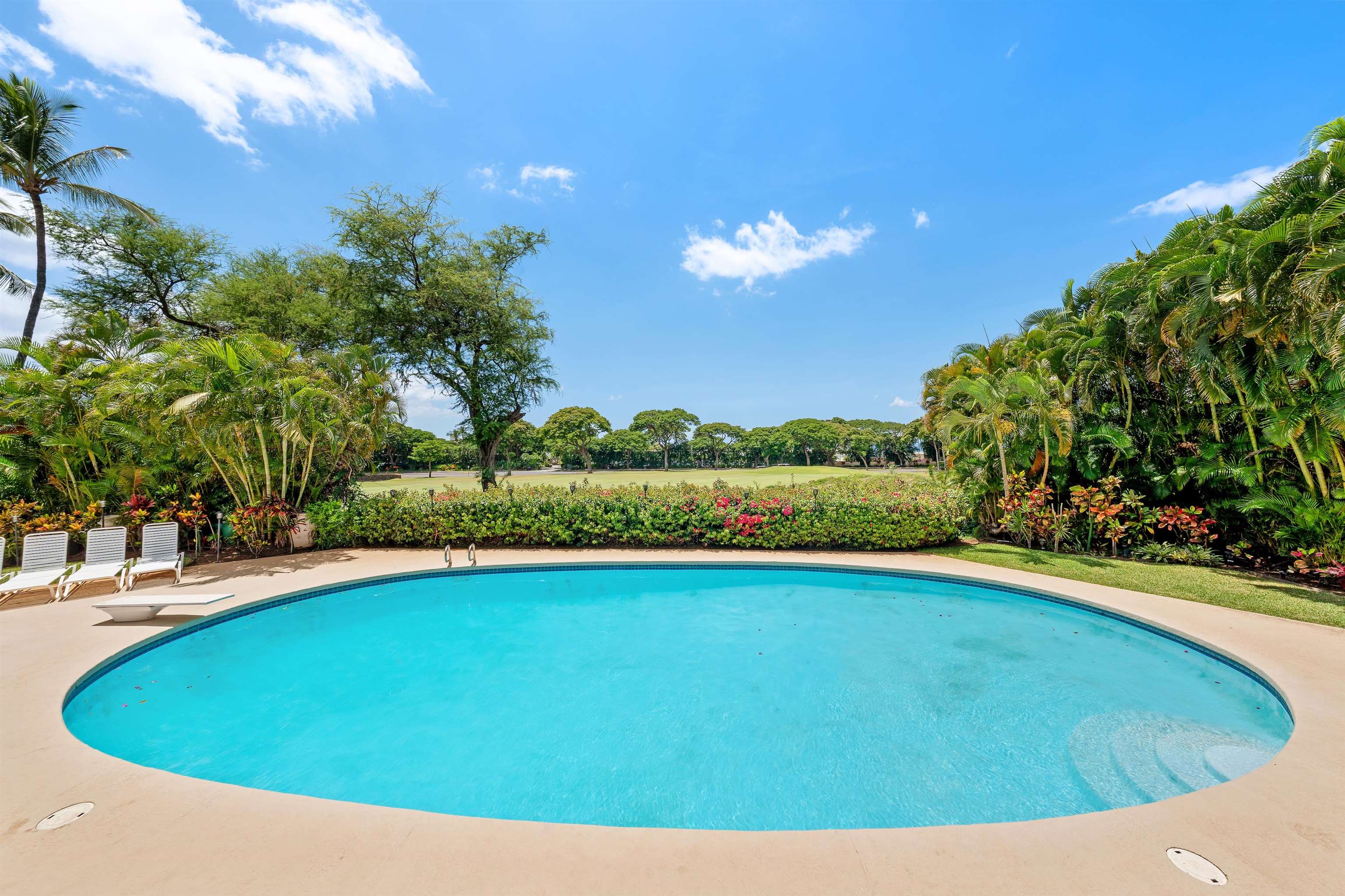 85  Hale Alii Pl Wailea, Wailea/Makena home - photo 16 of 43