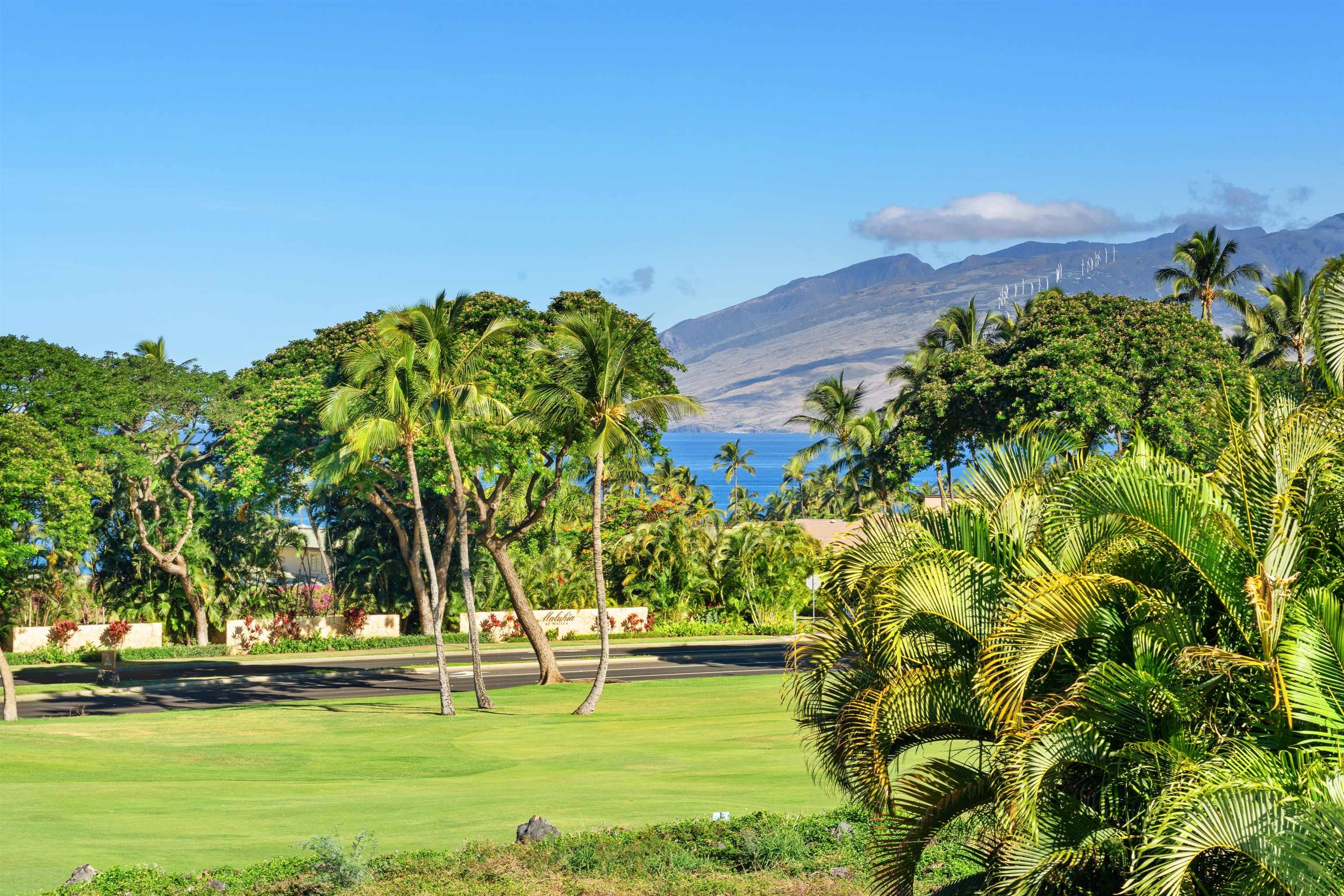 85  Hale Alii Pl Wailea, Wailea/Makena home - photo 4 of 43