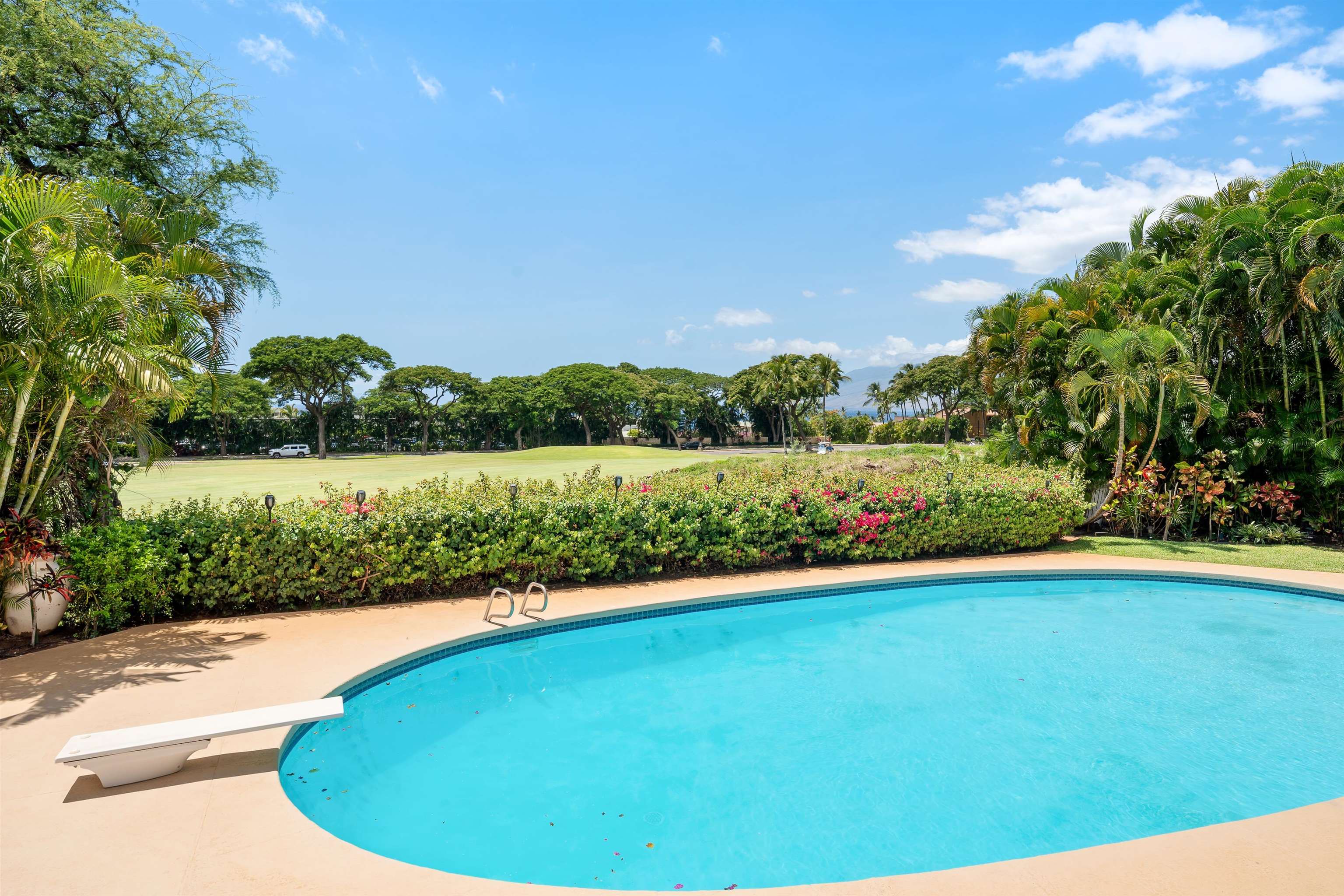 85  Hale Alii Pl Wailea, Wailea/Makena home - photo 43 of 43