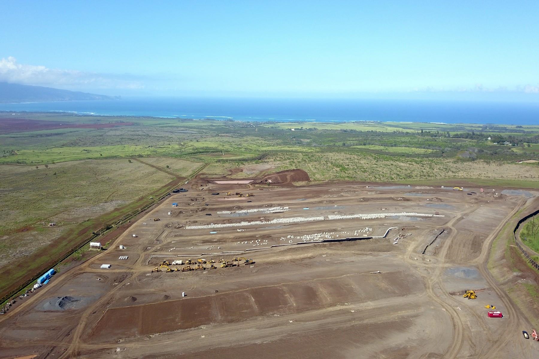 85  Hokupa St Haliimaile, Makawao/Olinda/Haliimaile home - photo 7 of 12