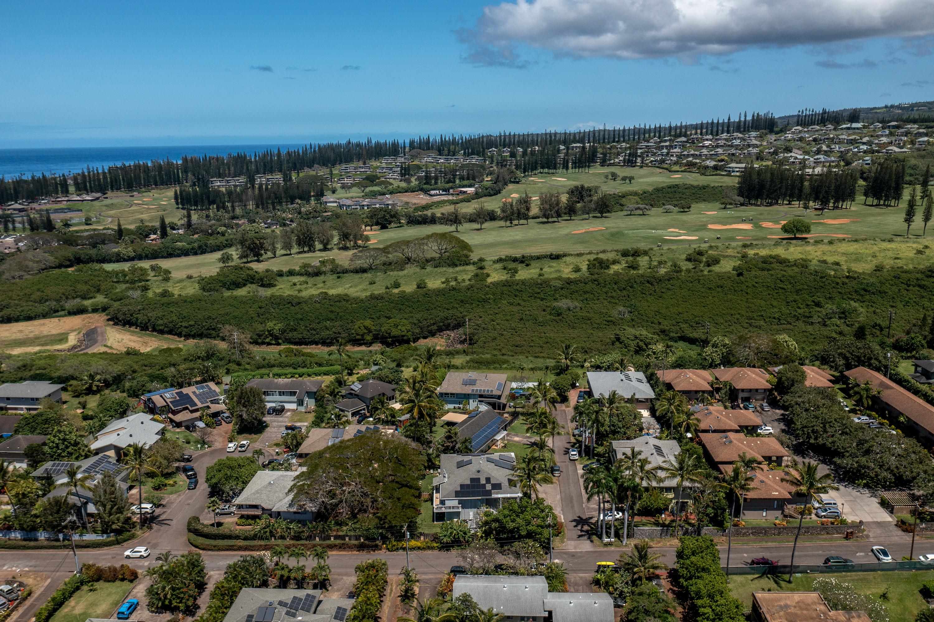 85  Hui F Rd , Napili/Kahana/Honokowai home - photo 38 of 39
