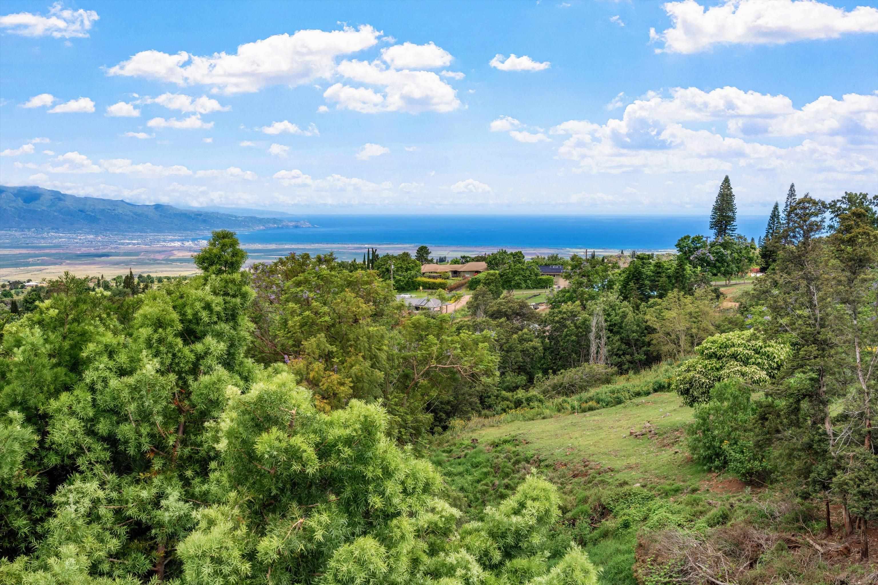 85  Kulamanu Cir , Kula/Ulupalakua/Kanaio home - photo 40 of 46