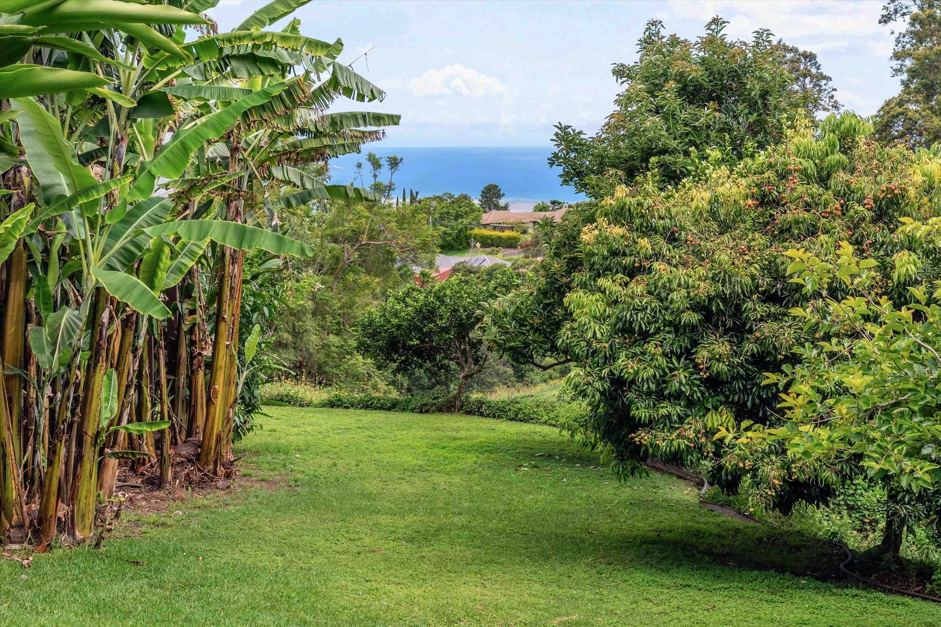 85  Kulamanu Cir , Kula/Ulupalakua/Kanaio home - photo 41 of 46