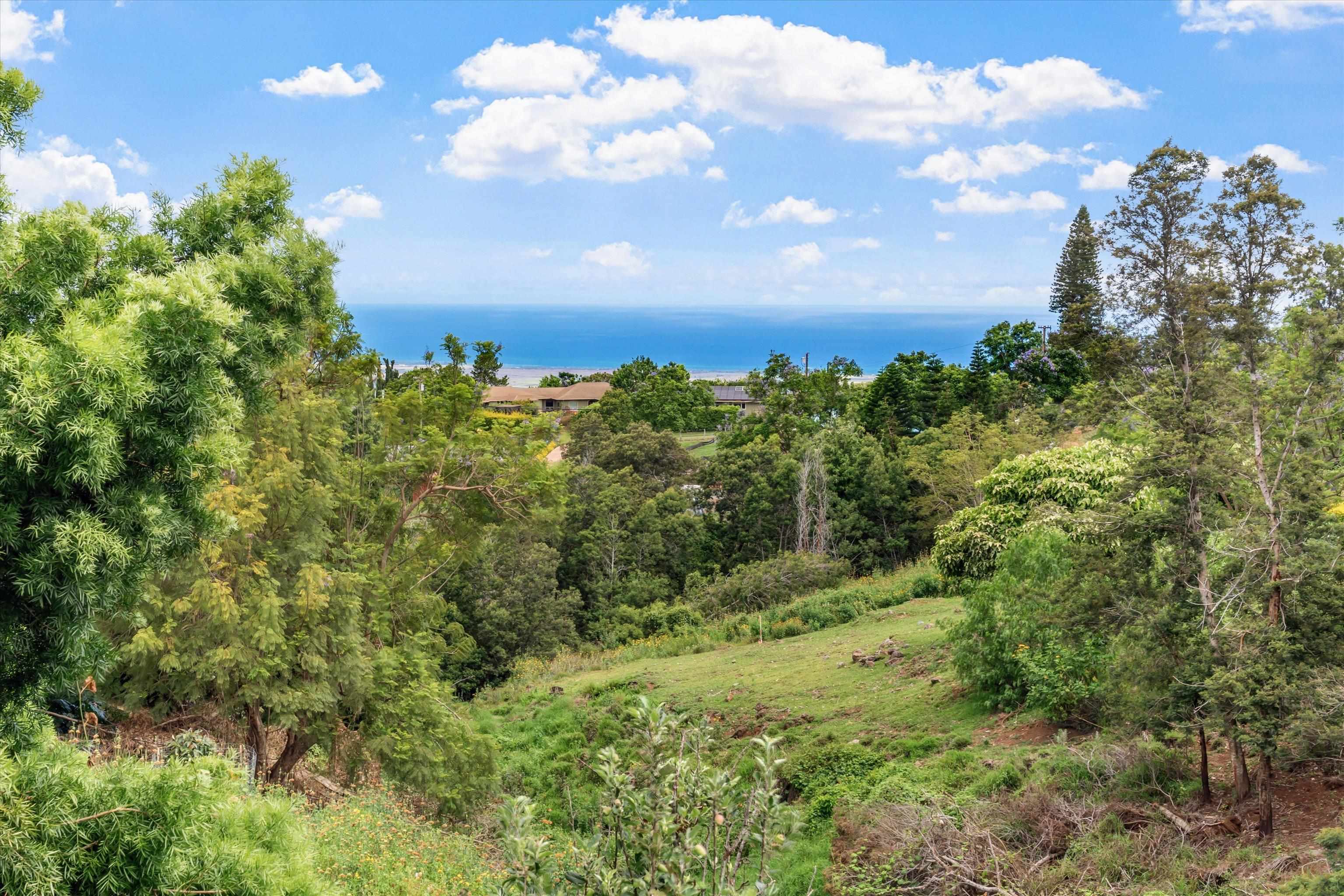 85  Kulamanu Cir , Kula/Ulupalakua/Kanaio home - photo 43 of 46
