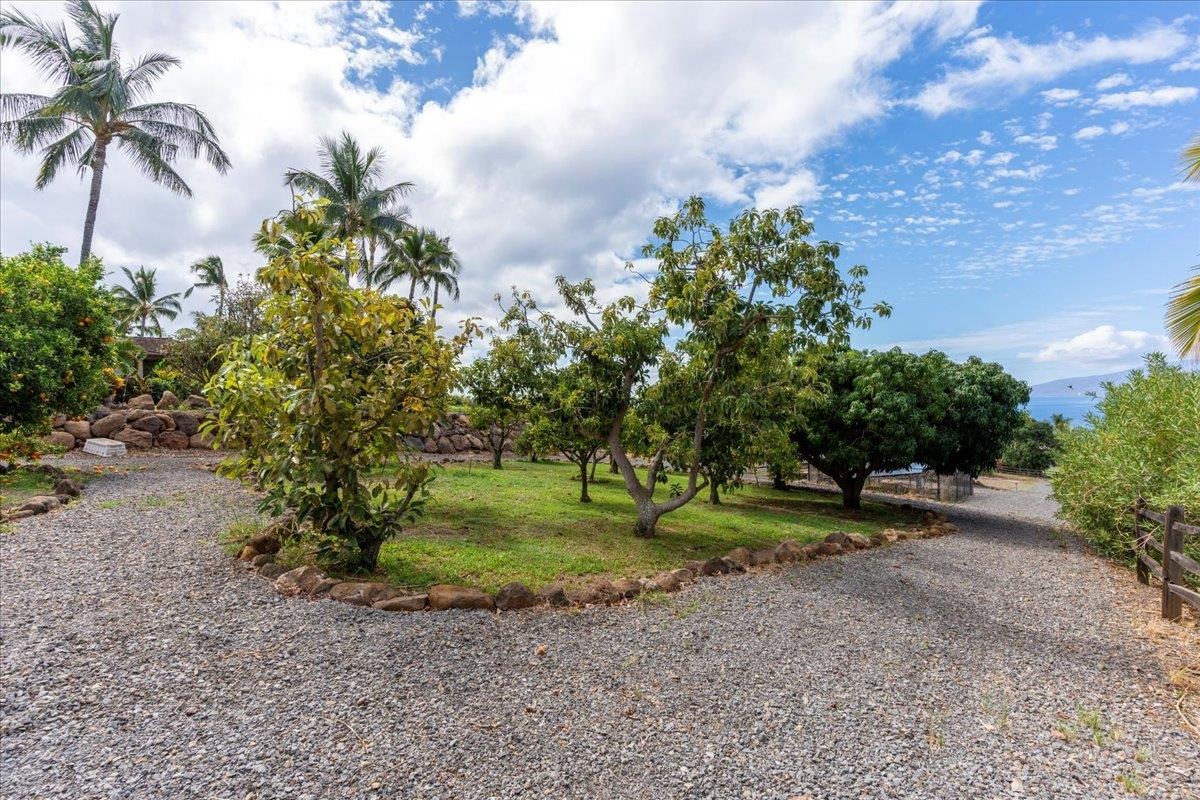 85  Lauawa Pl Launiupoko, Lahaina home - photo 40 of 50