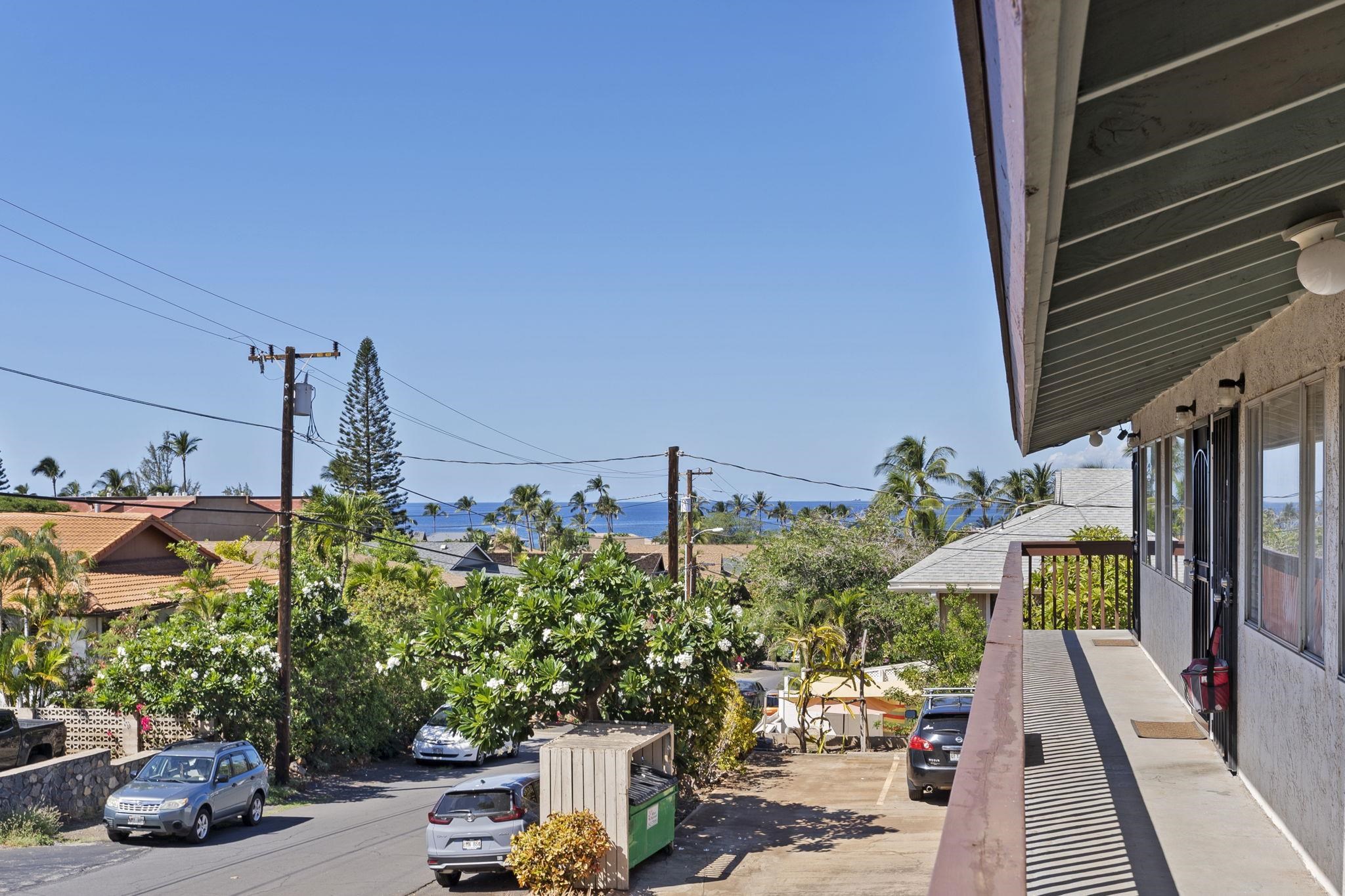 85 Walaka Street condo # 105 (#9), Kihei, Hawaii - photo 29 of 30