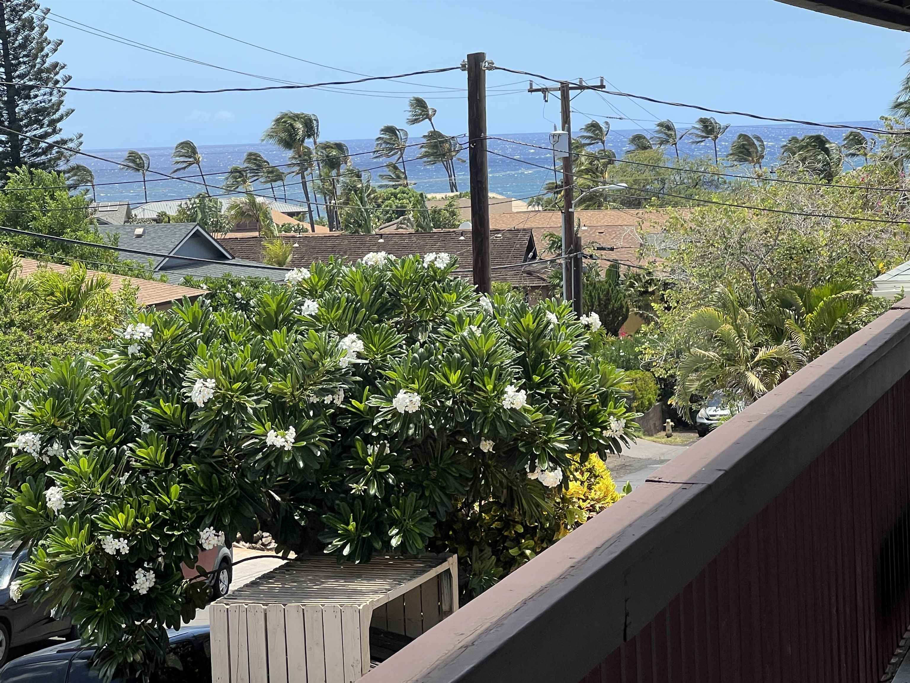 85 Walaka Street condo # 6, Kihei, Hawaii - photo 2 of 19
