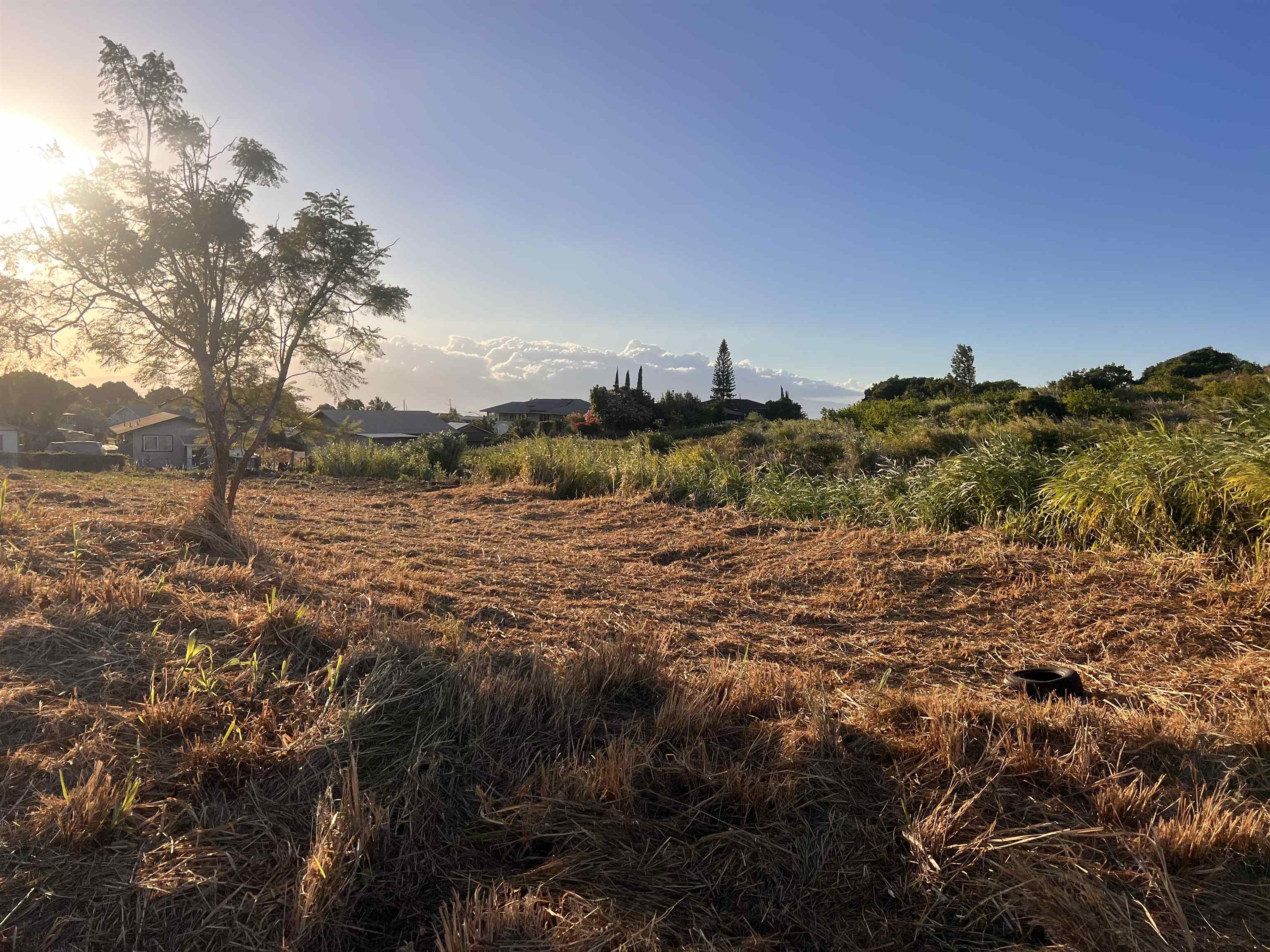 850 Makani Rd  Makawao, Hi vacant land for sale - photo 3 of 12