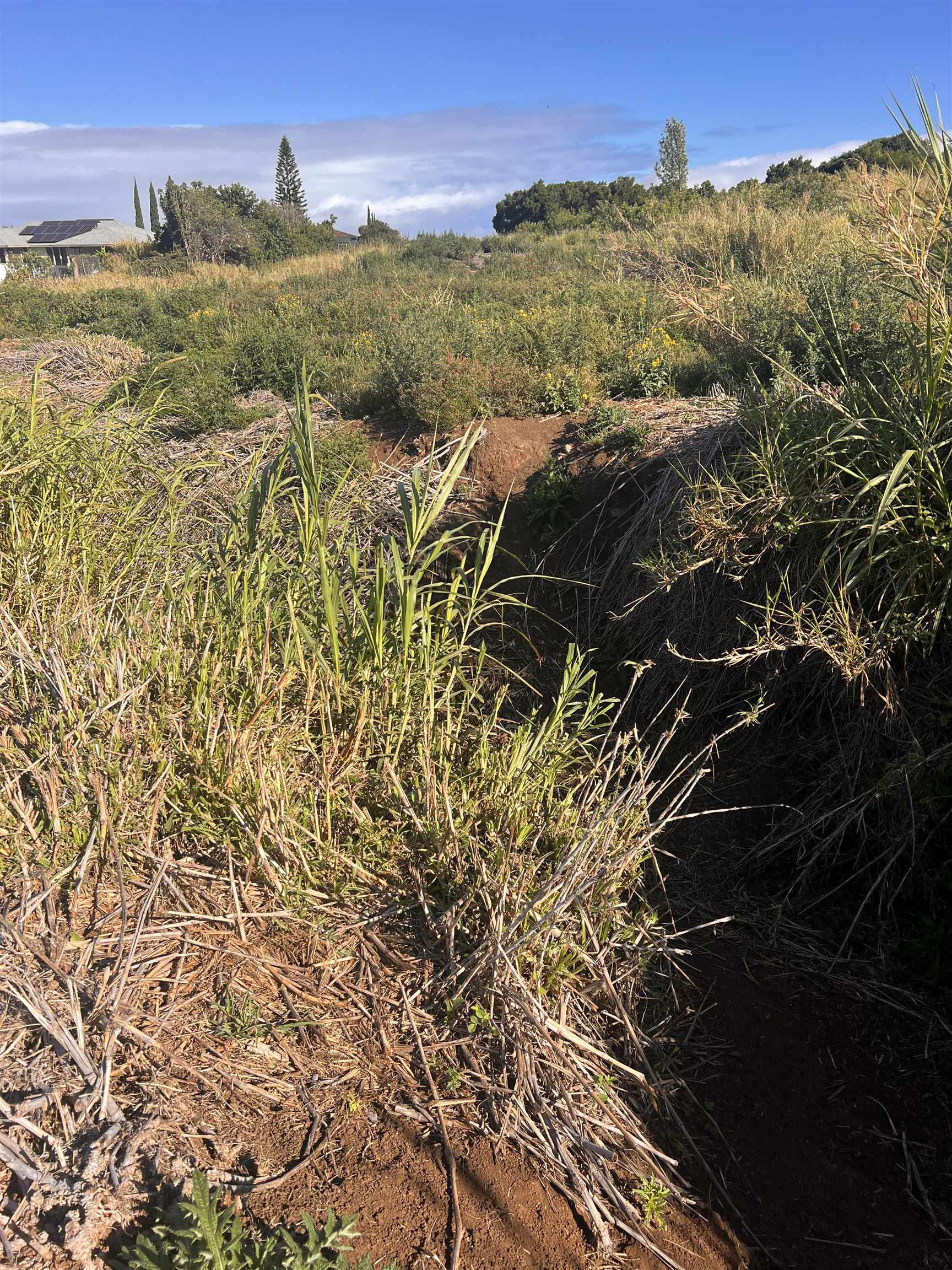 850 Makani Rd  Makawao, Hi vacant land for sale - photo 7 of 7