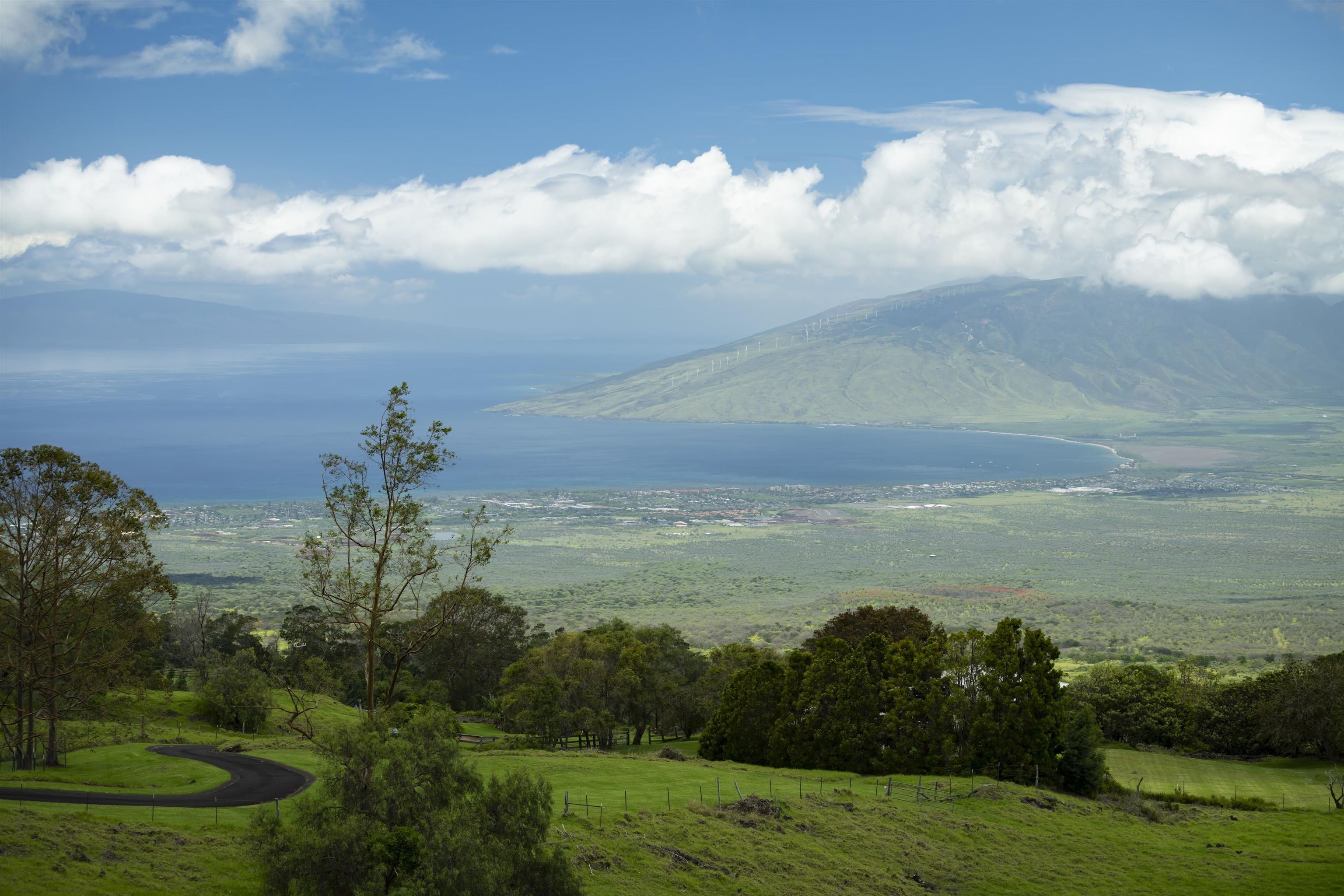 8515  Kula Hwy Keokea, Kula/Ulupalakua/Kanaio home - photo 43 of 44