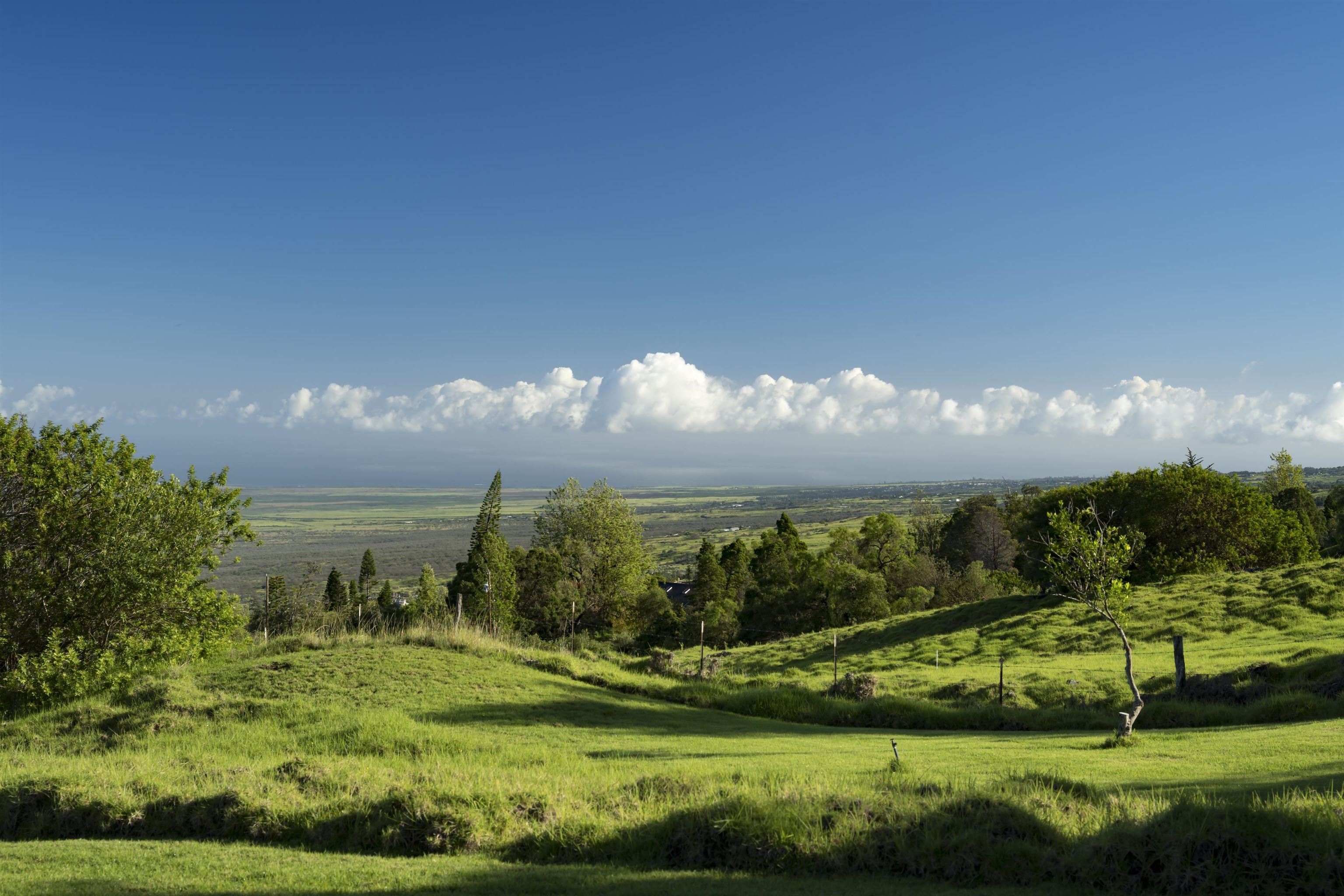 8515  Kula Hwy Keokea, Kula/Ulupalakua/Kanaio home - photo 44 of 44